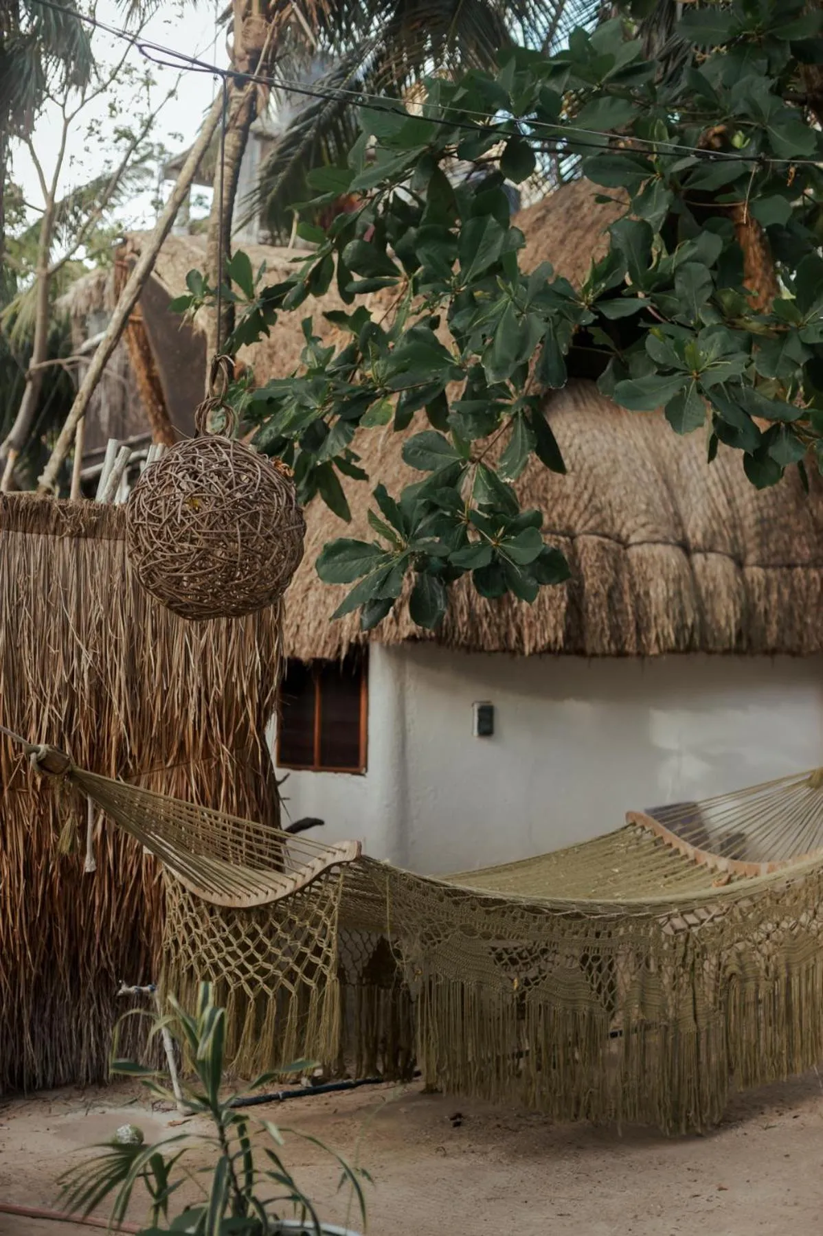 Garden view in Casa Violeta