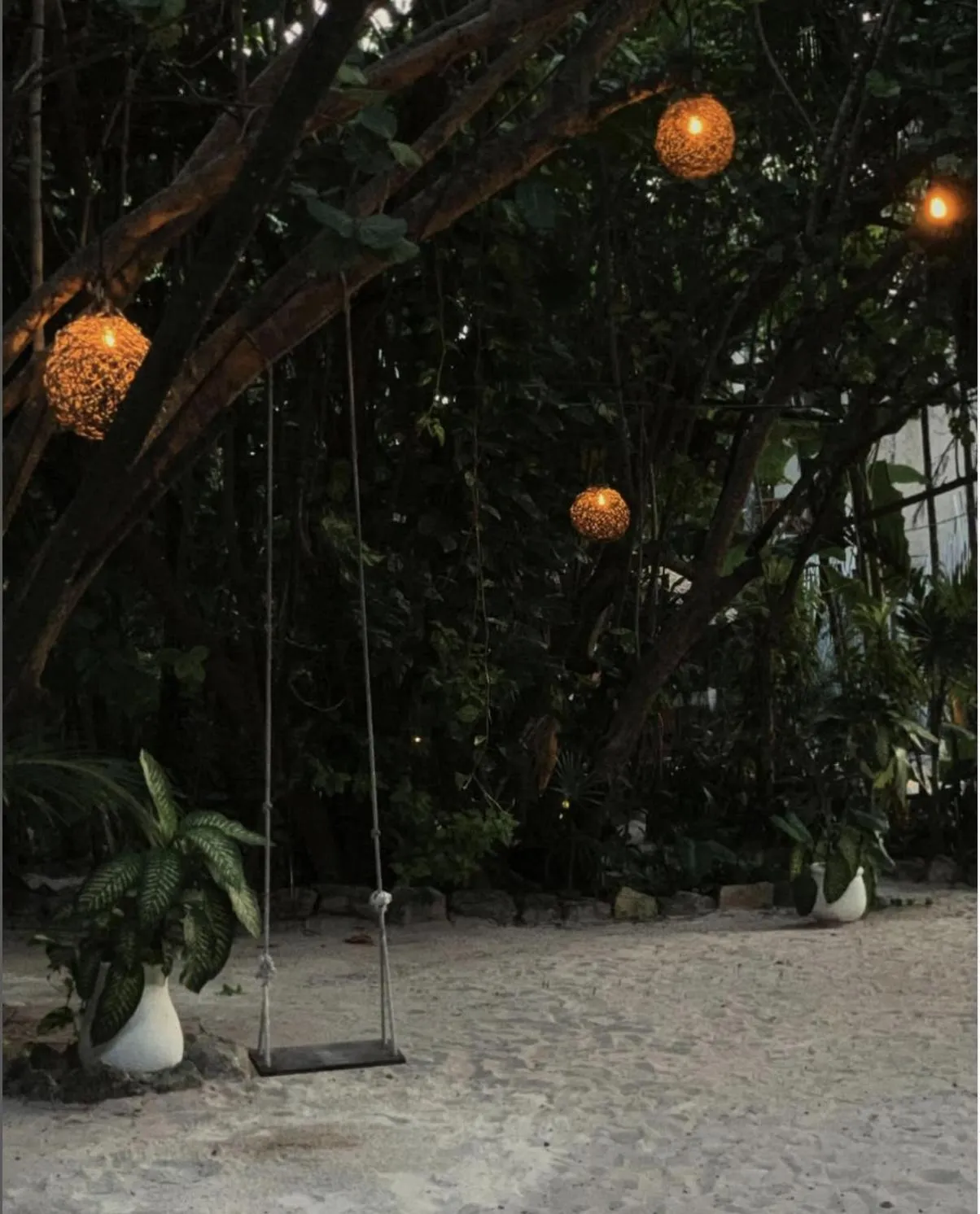 Garden view in Casa Violeta