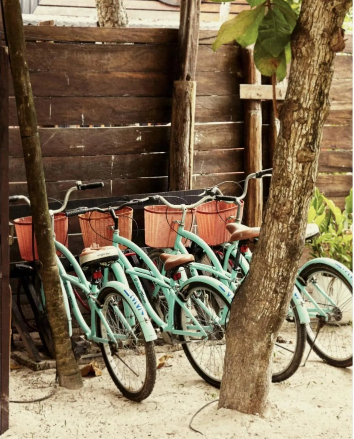 Garden in Casa Violeta