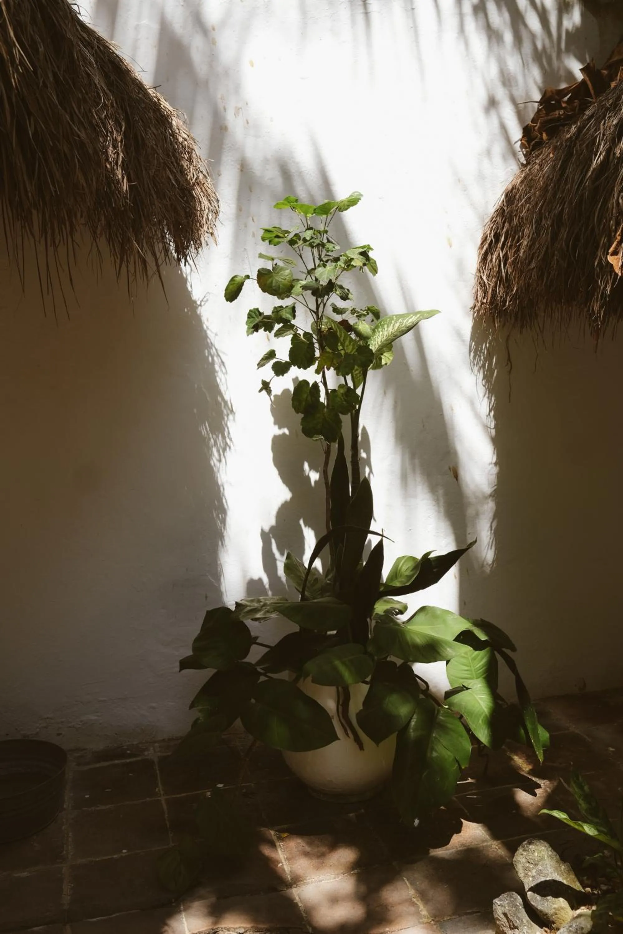 Sea view in Casa Violeta