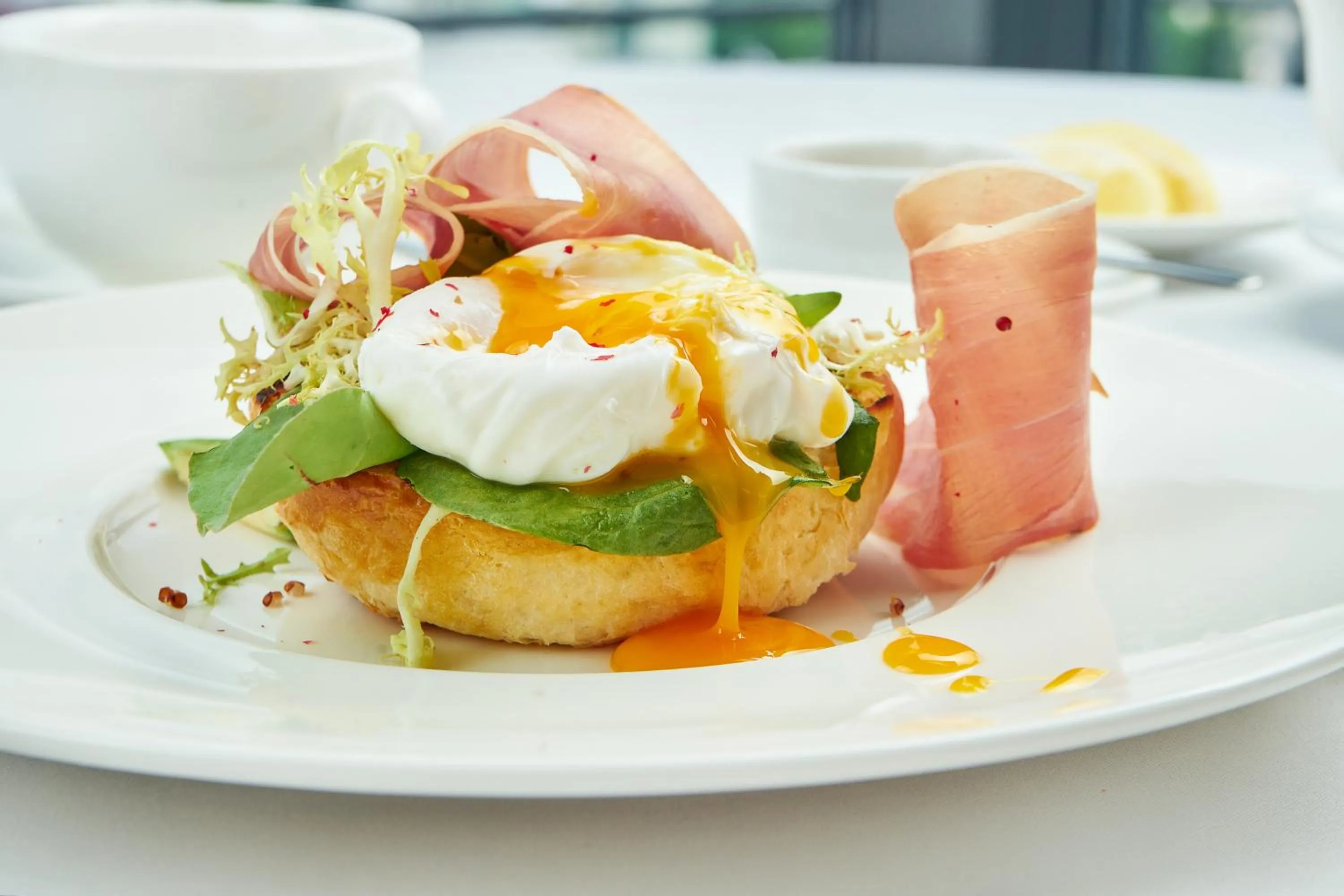 Food close-up in CITYHOTEL