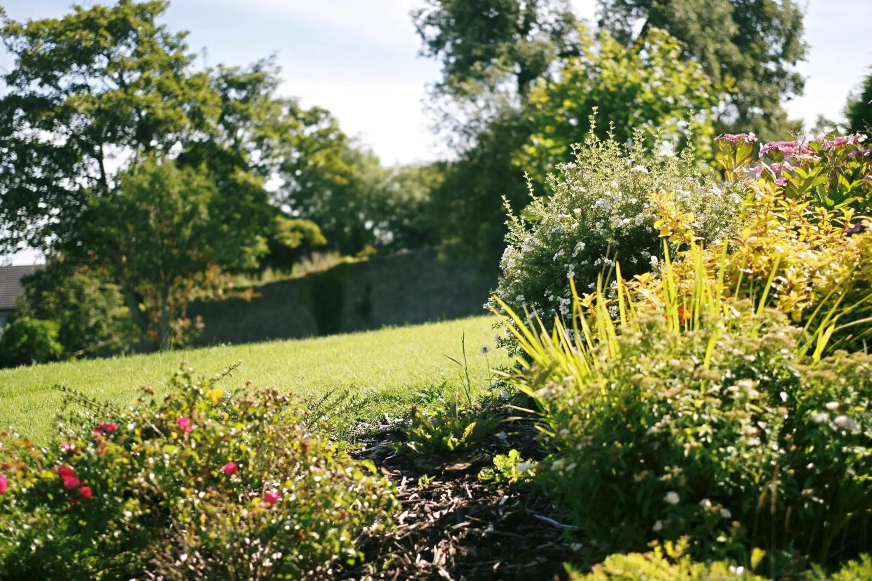 Facade/entrance in Sligo Park Hotel & Leisure Club Facade/entrance in Sligo Park Hotel & Leisure Club