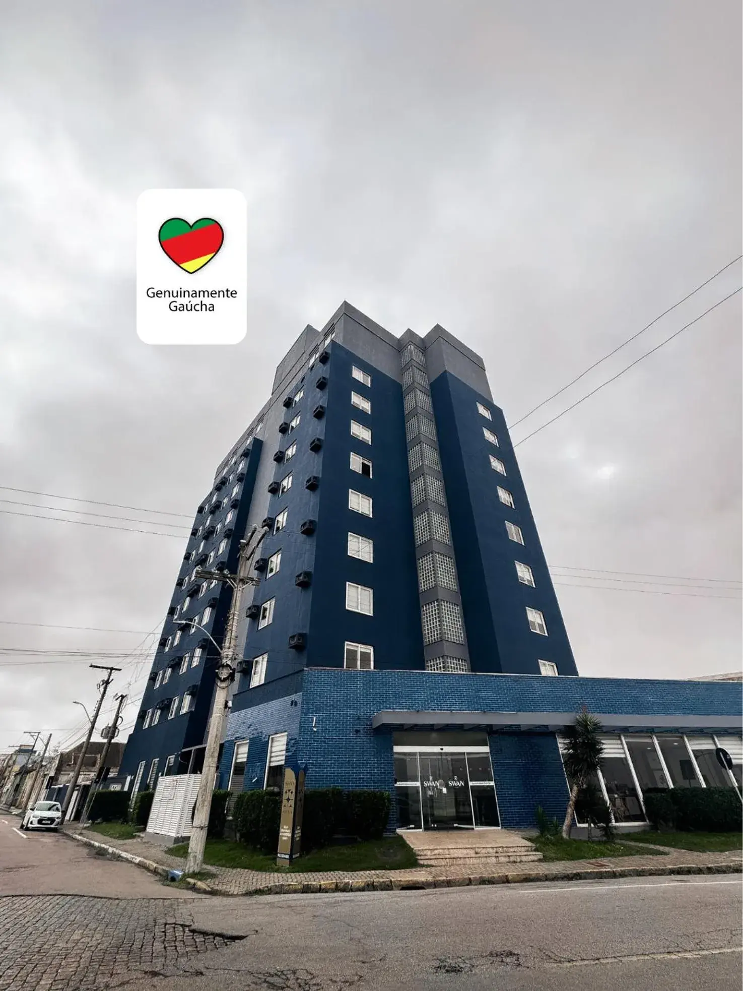 Swan Rio Grande Swan Rio Grande