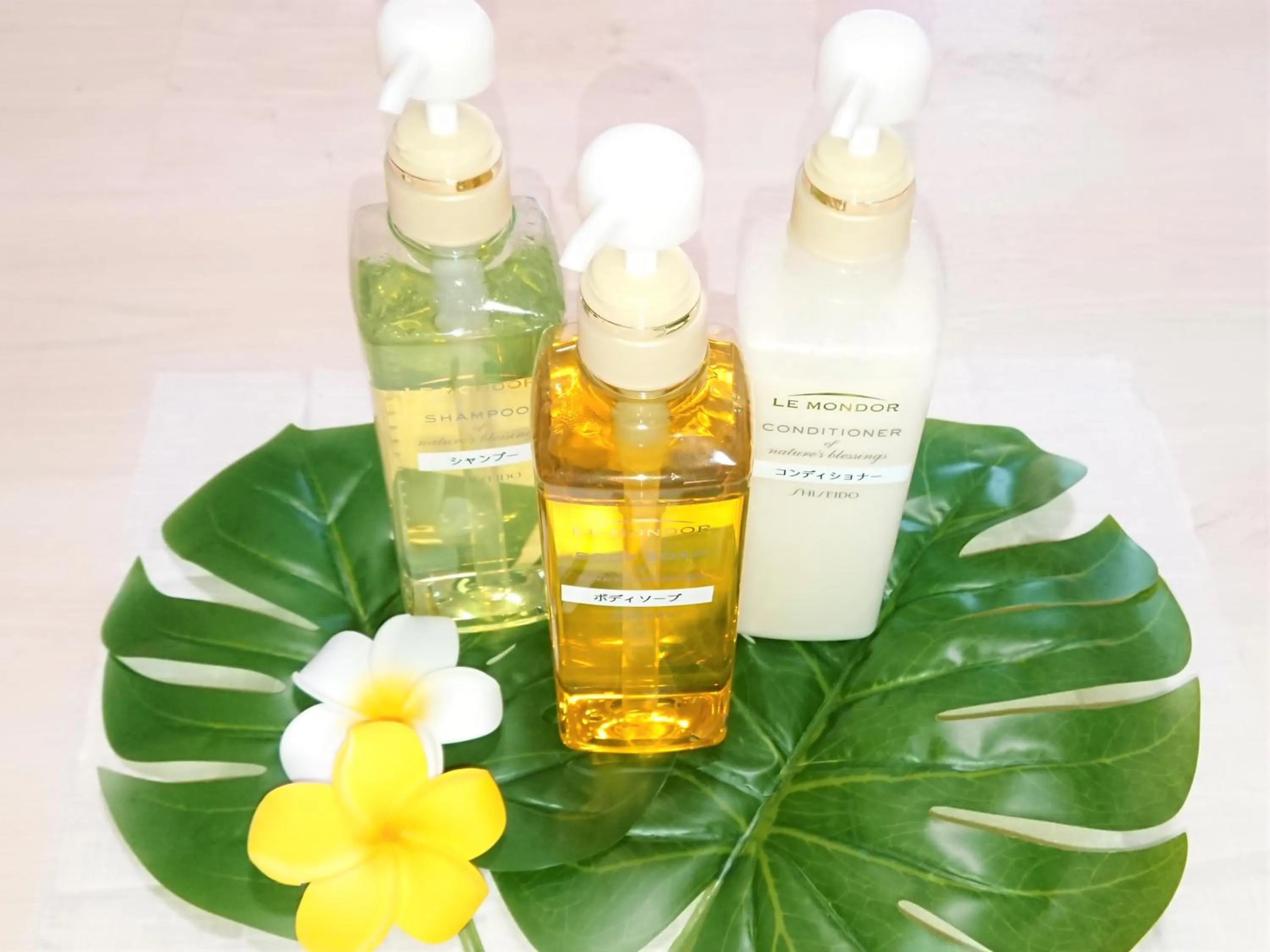 Other in Yenn's Marina Inn Zamami Condominium