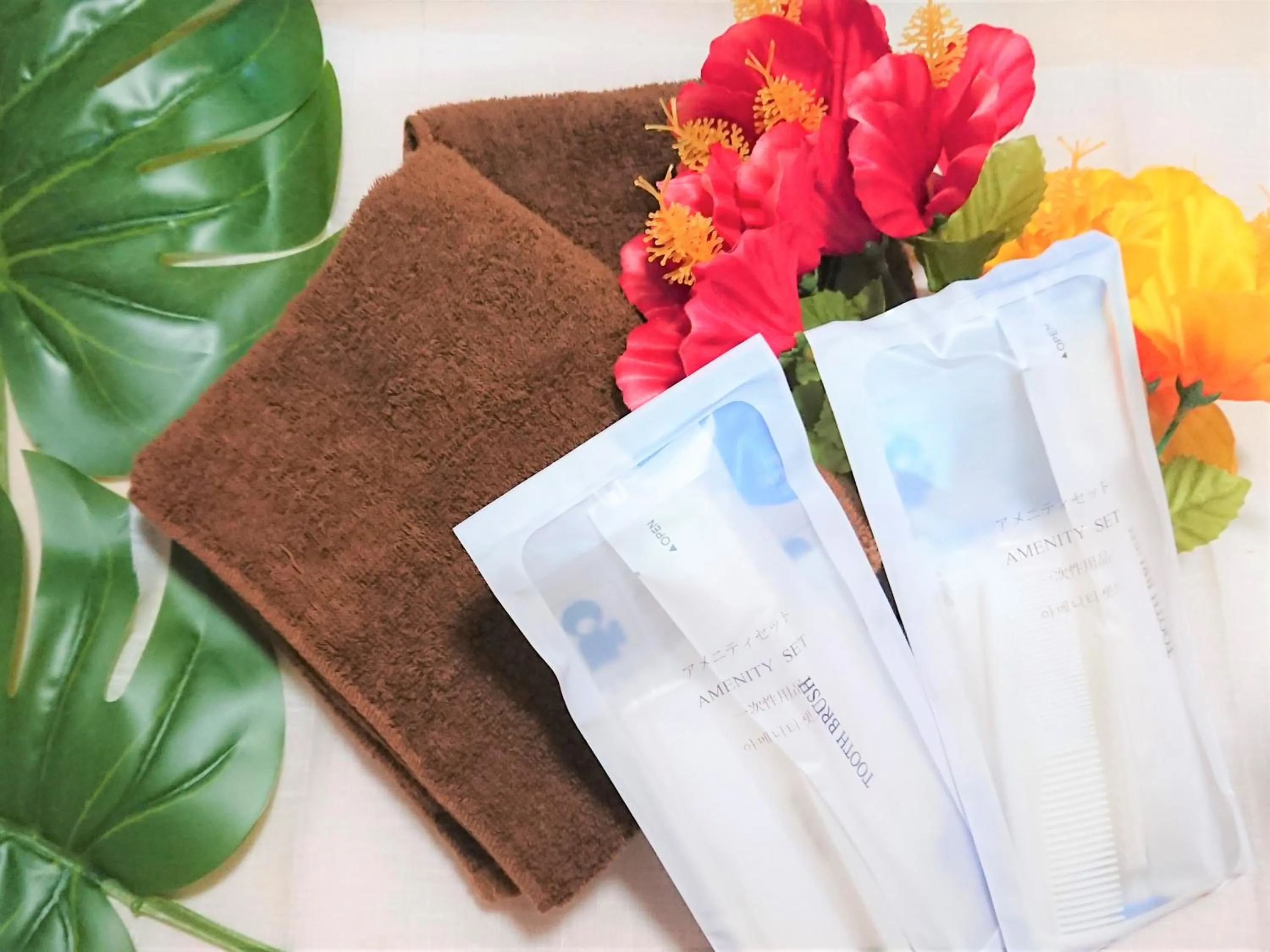 Area and facilities in Yenn's Marina Inn Zamami Condominium