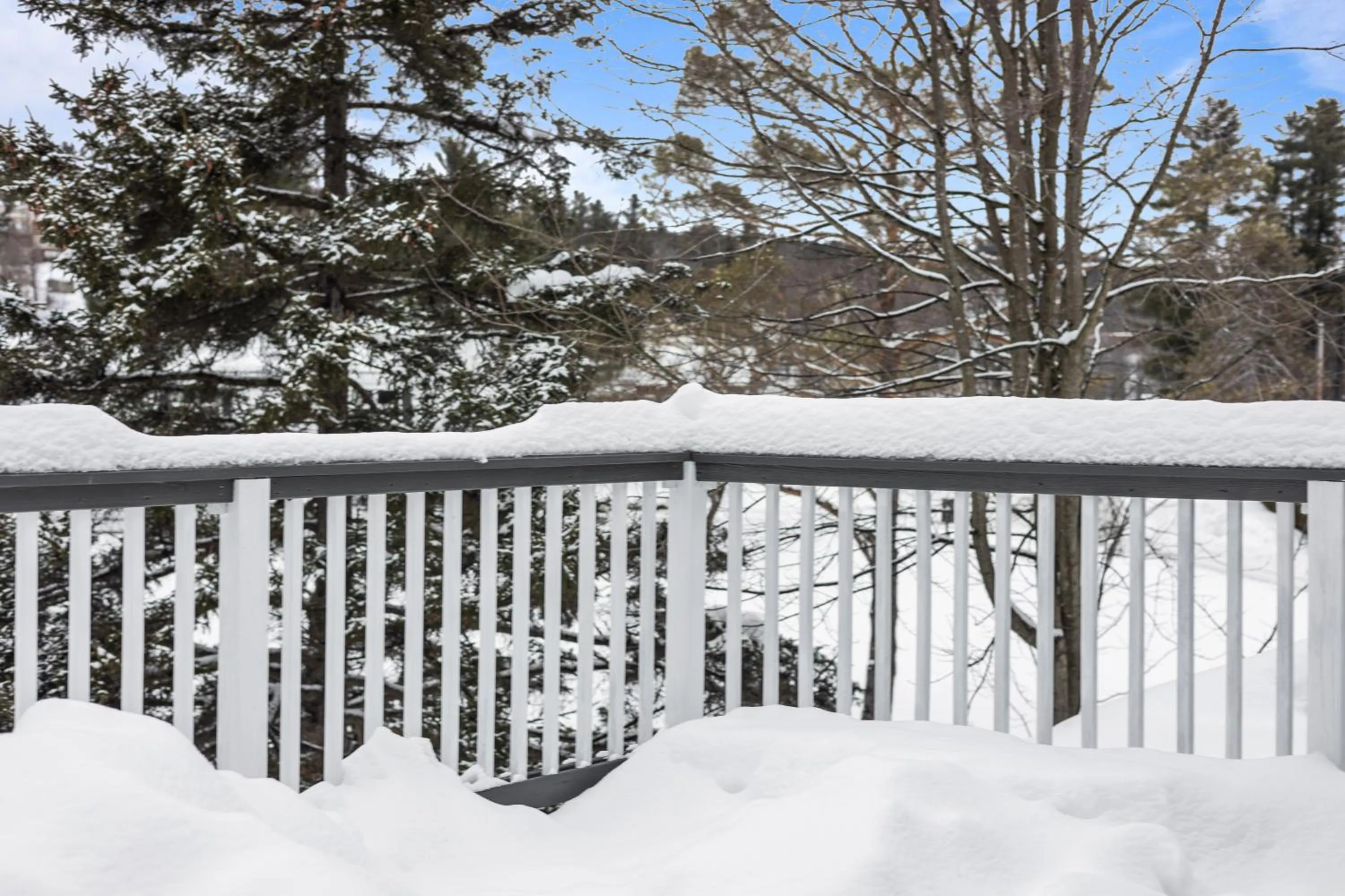 Stowe Motel & Snowdrift