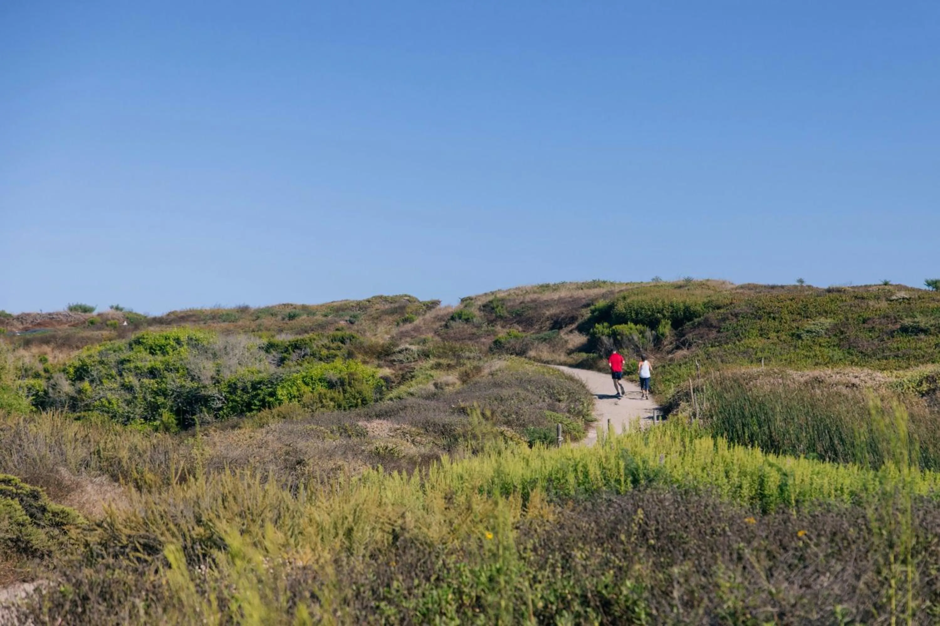 Nearby landmark in Courtyard by Marriott Santa Barbara Goleta