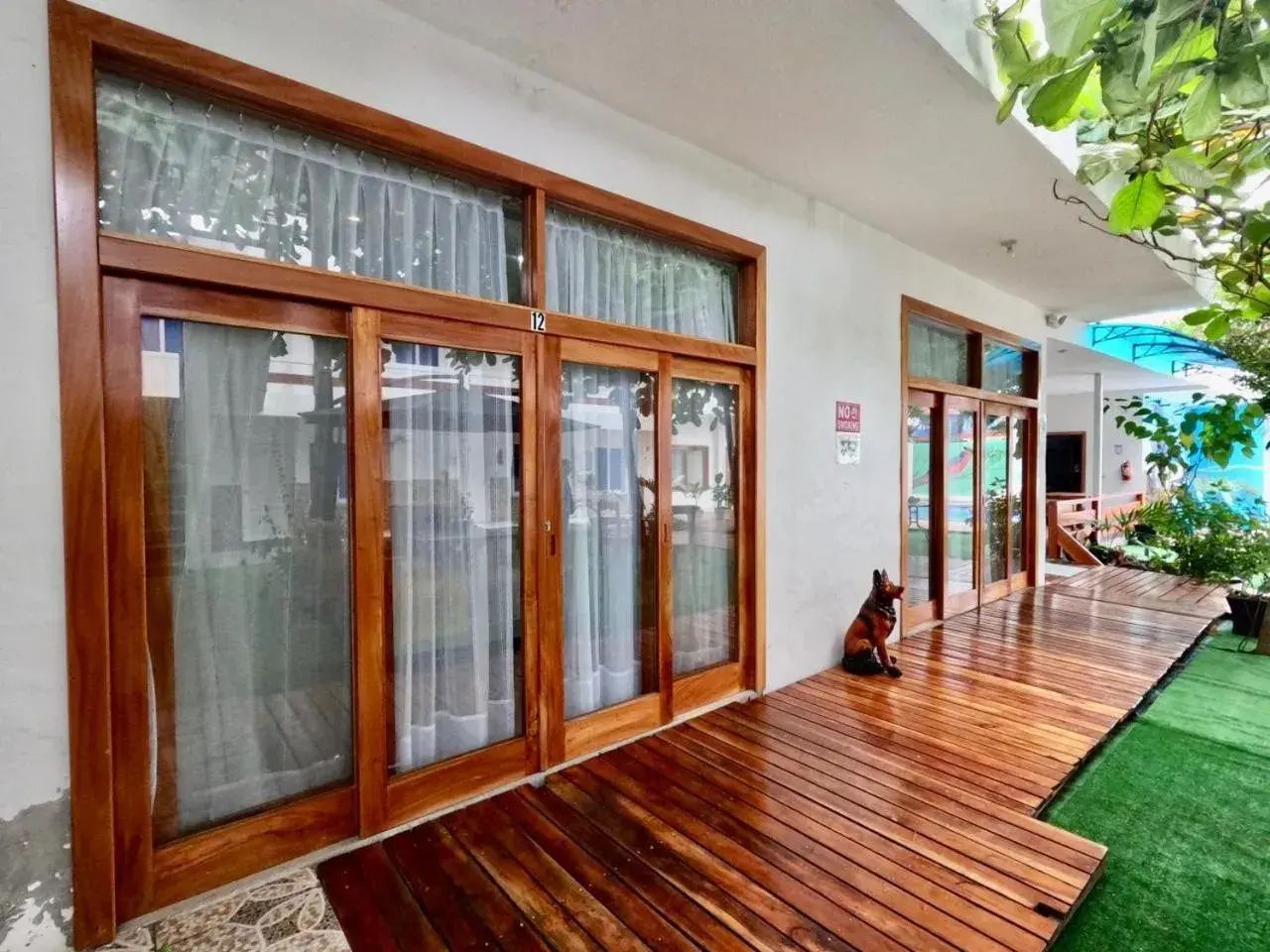 Garden view in Galápagos Isabela Hotel Loja Garden view in Galápagos Isabela Hotel Loja