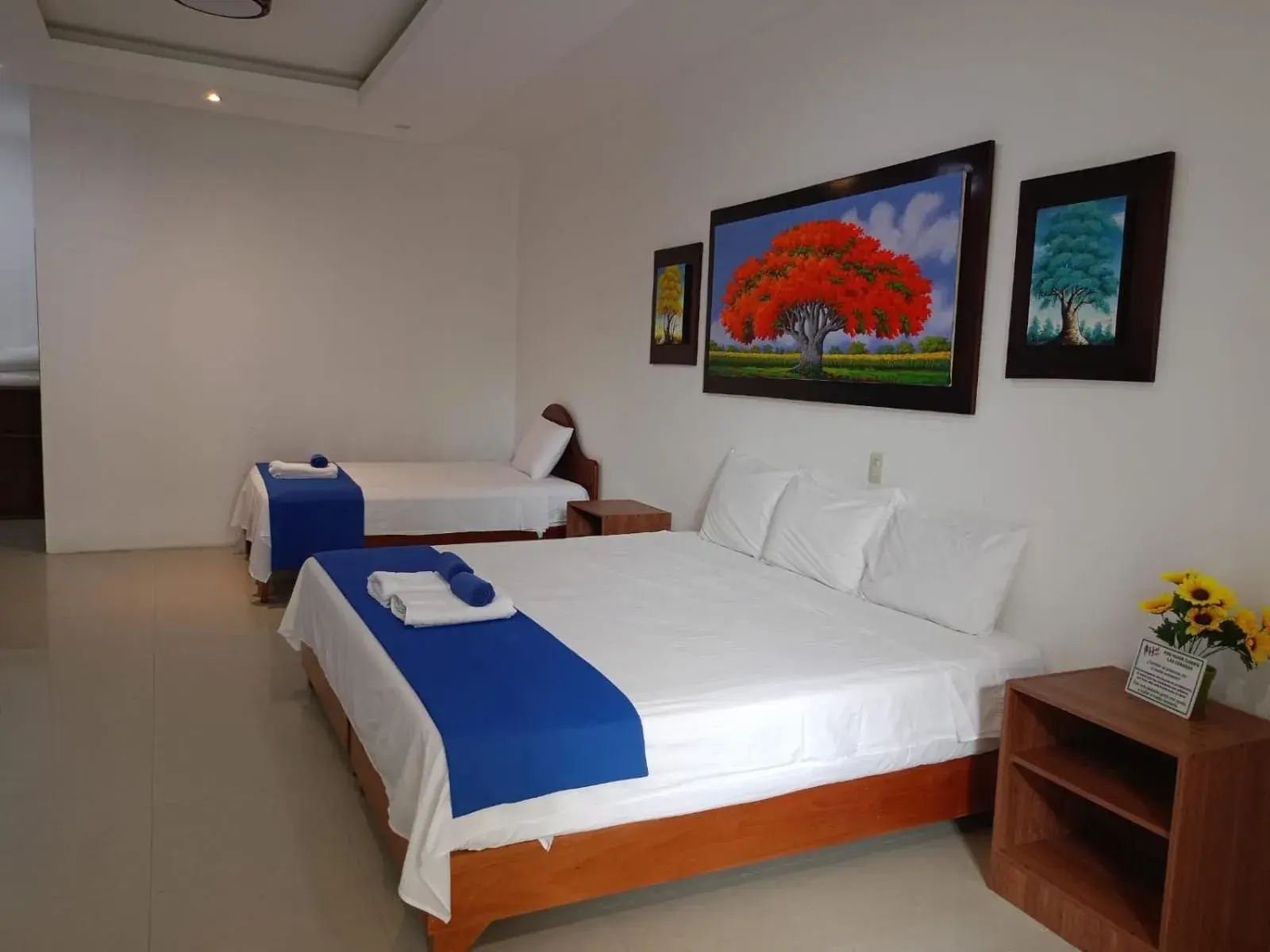 Bed in Galápagos Isabela Hotel Loja Bed in Galápagos Isabela Hotel Loja