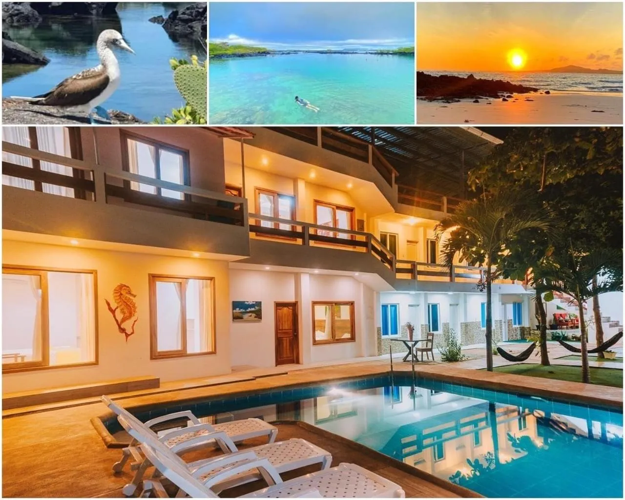 Swimming pool in Galápagos Isabela Hotel Loja