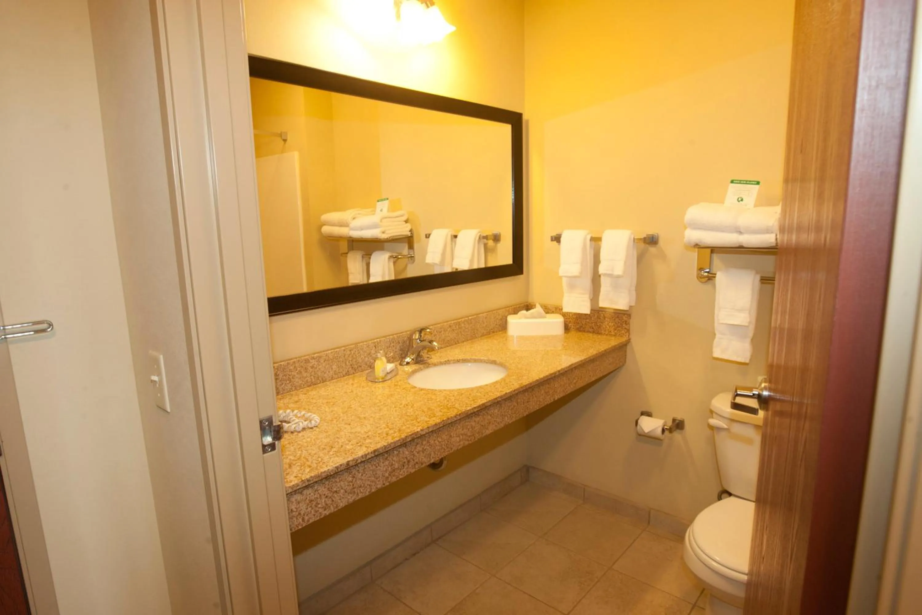 Toilet in Cobblestone Inn & Suites - Carrington