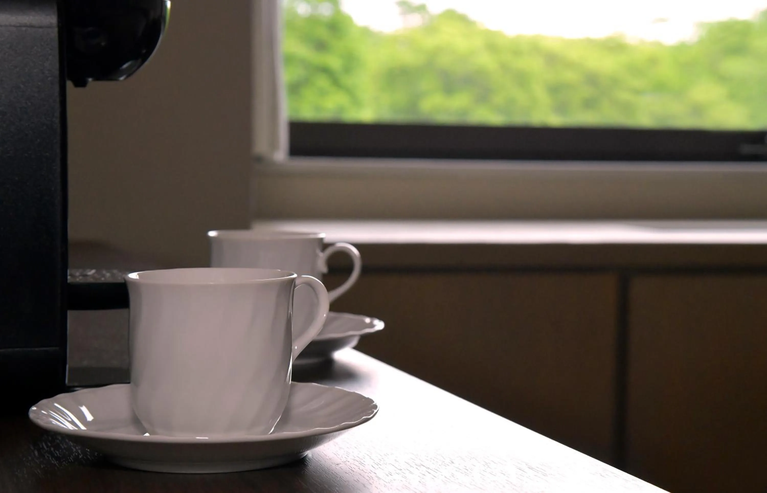 Photo of the whole room in Hotel Kanronomori