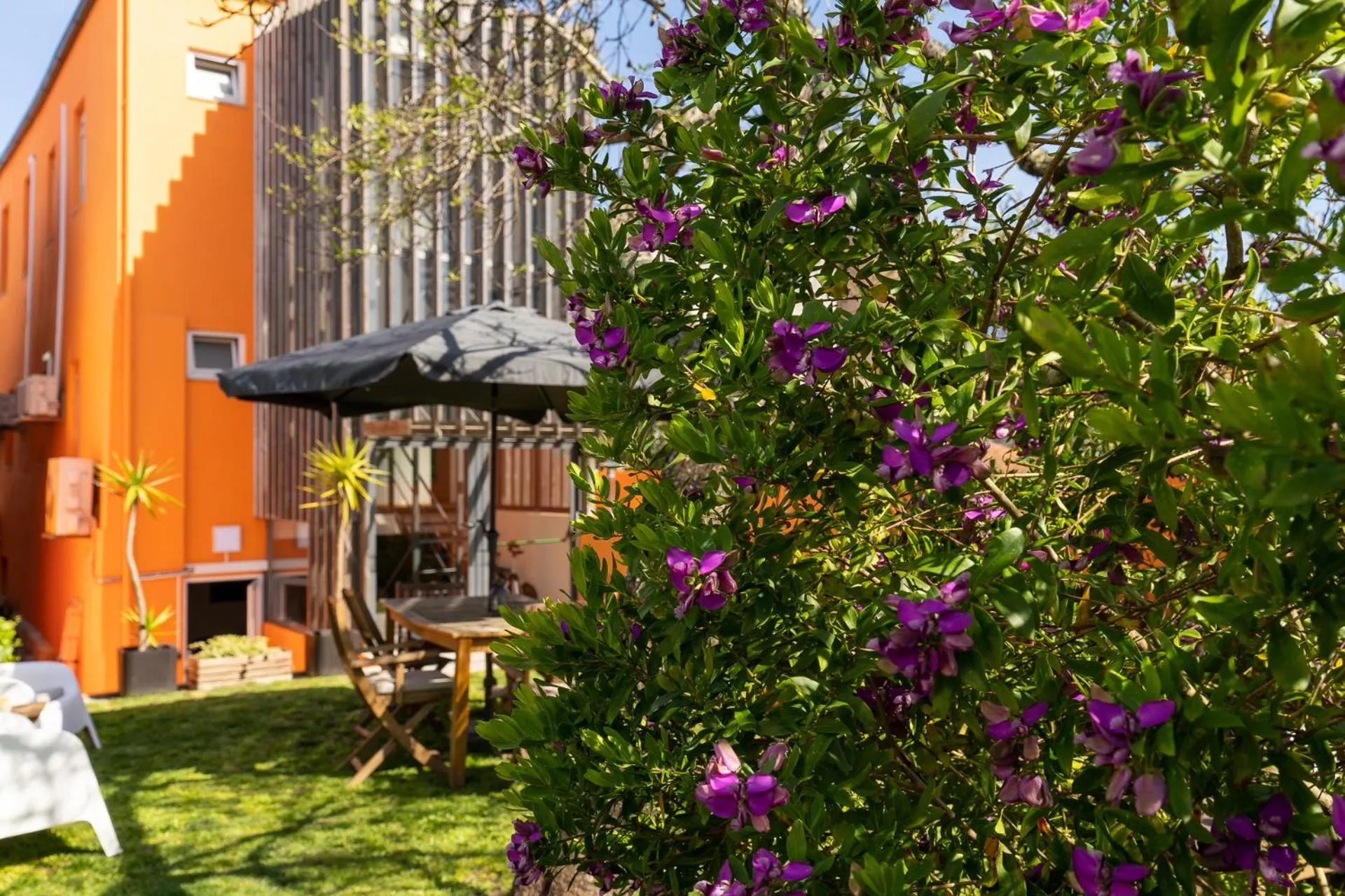 Peach Hostel & Suites
