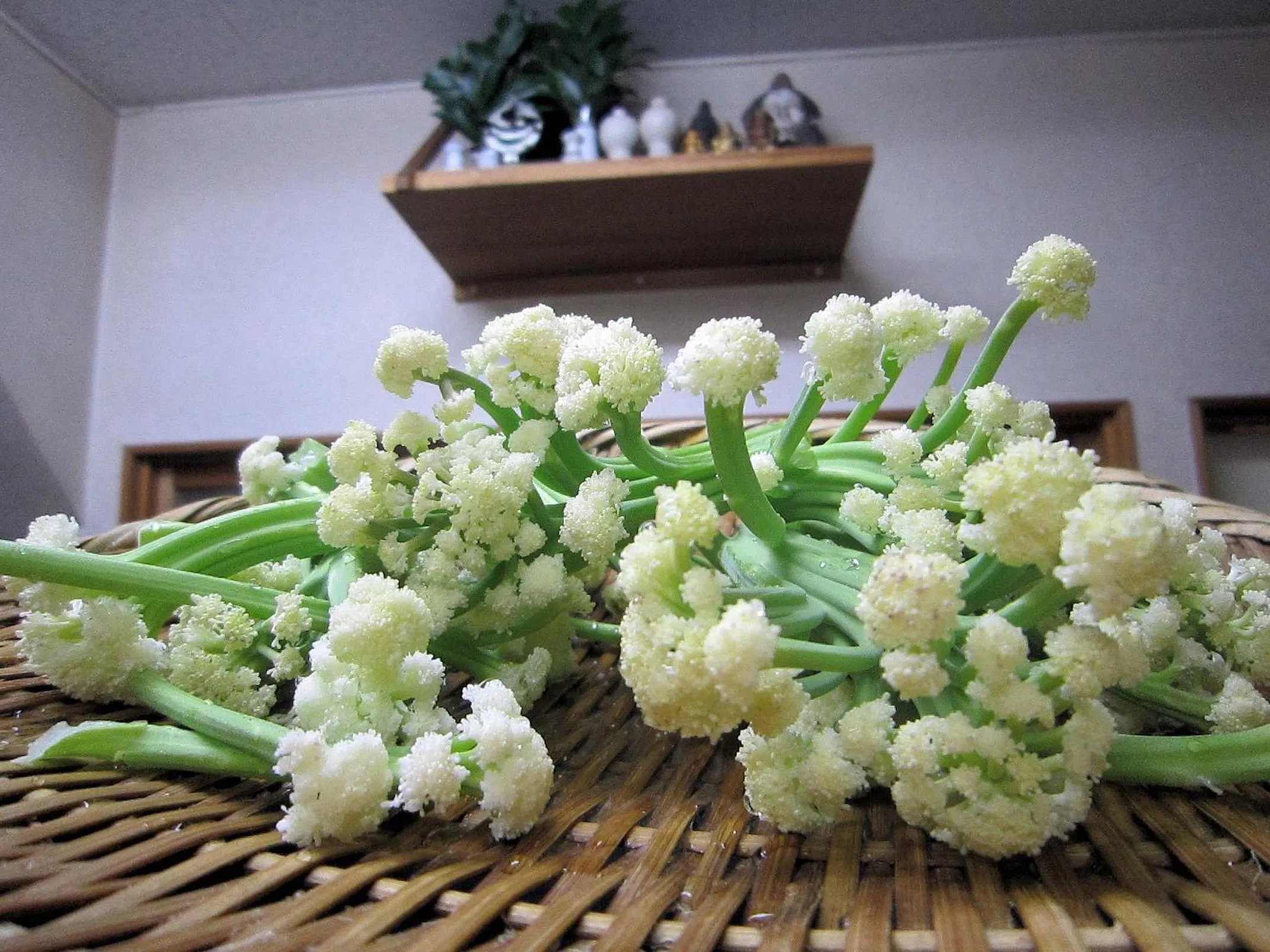 Food in Ryokan Taishoro