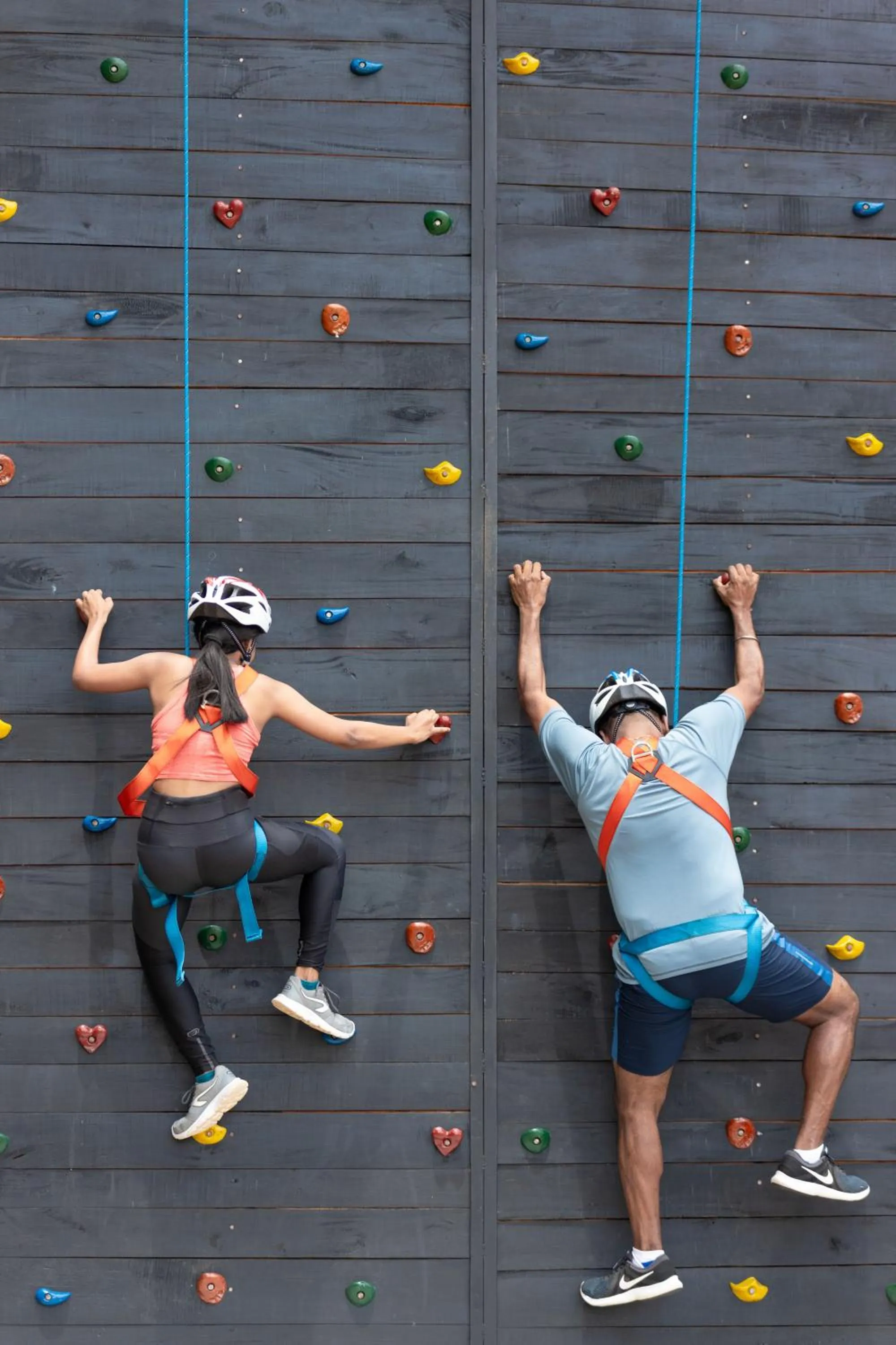 Day in Occidental Paradise Dambulla