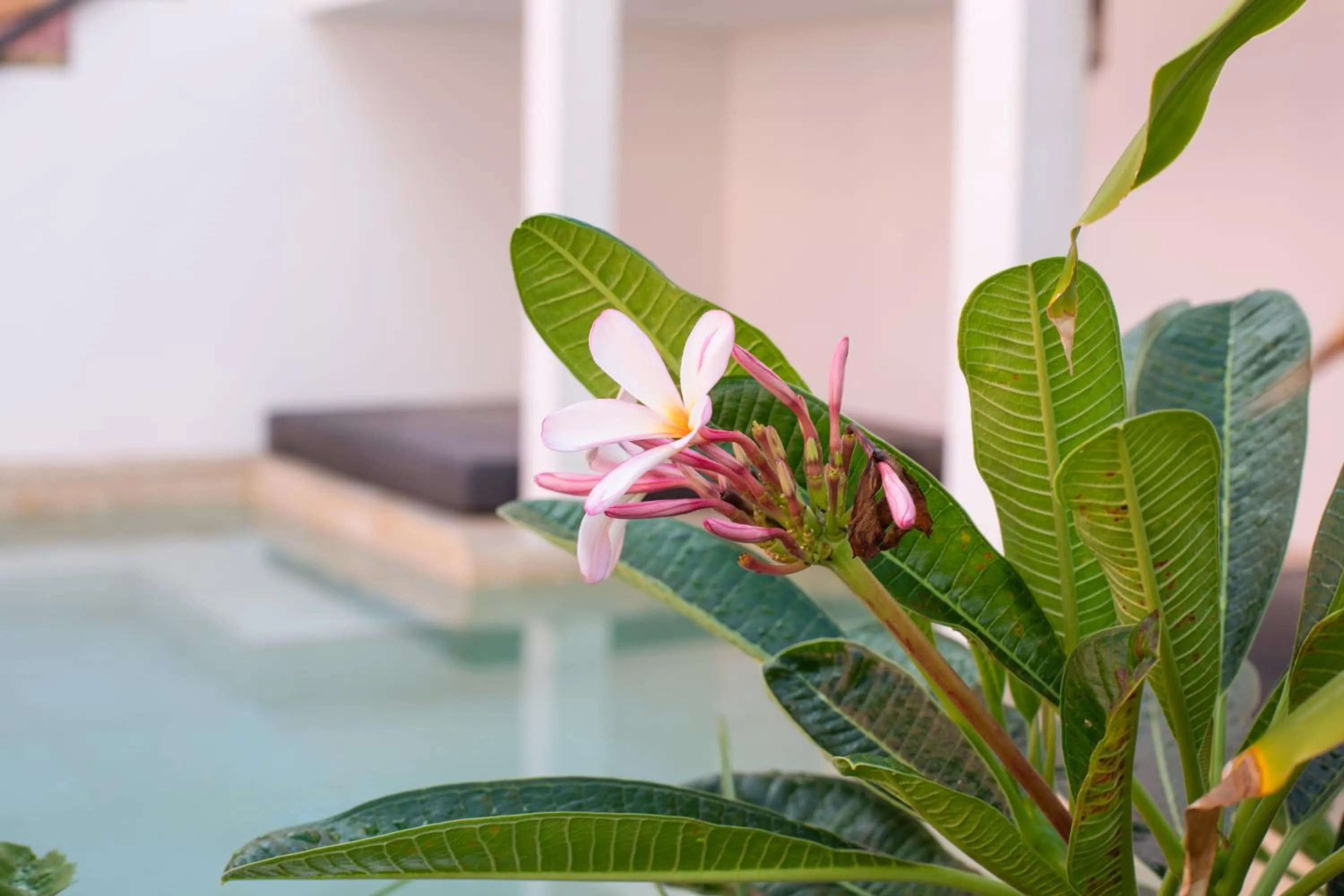 Other in BOHO Bohemian Boutique Hotel