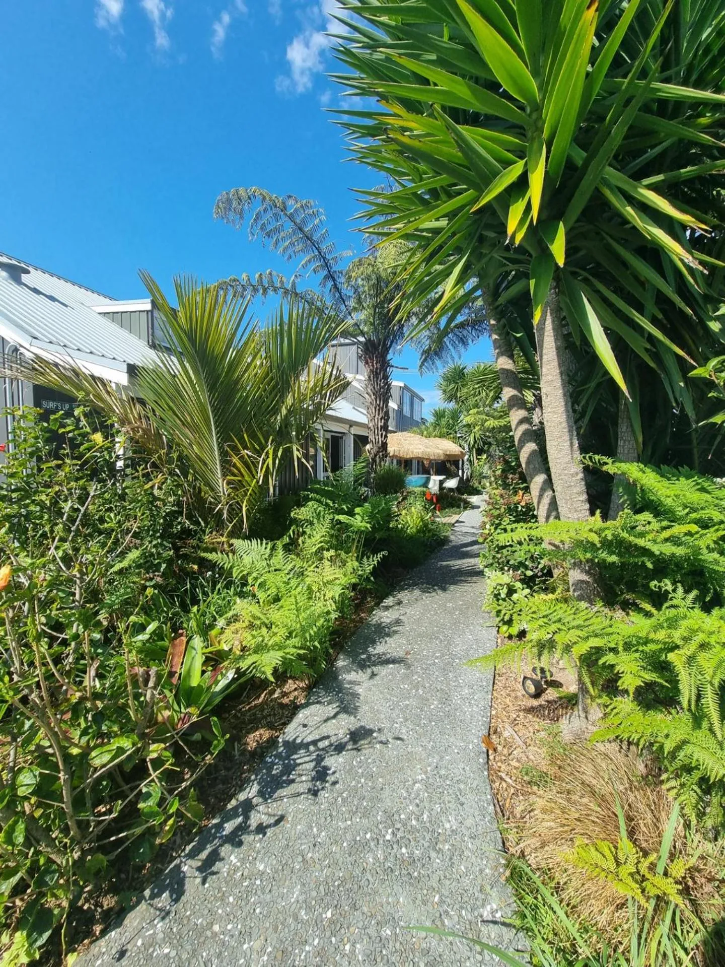 Garden in Southpacific Motel