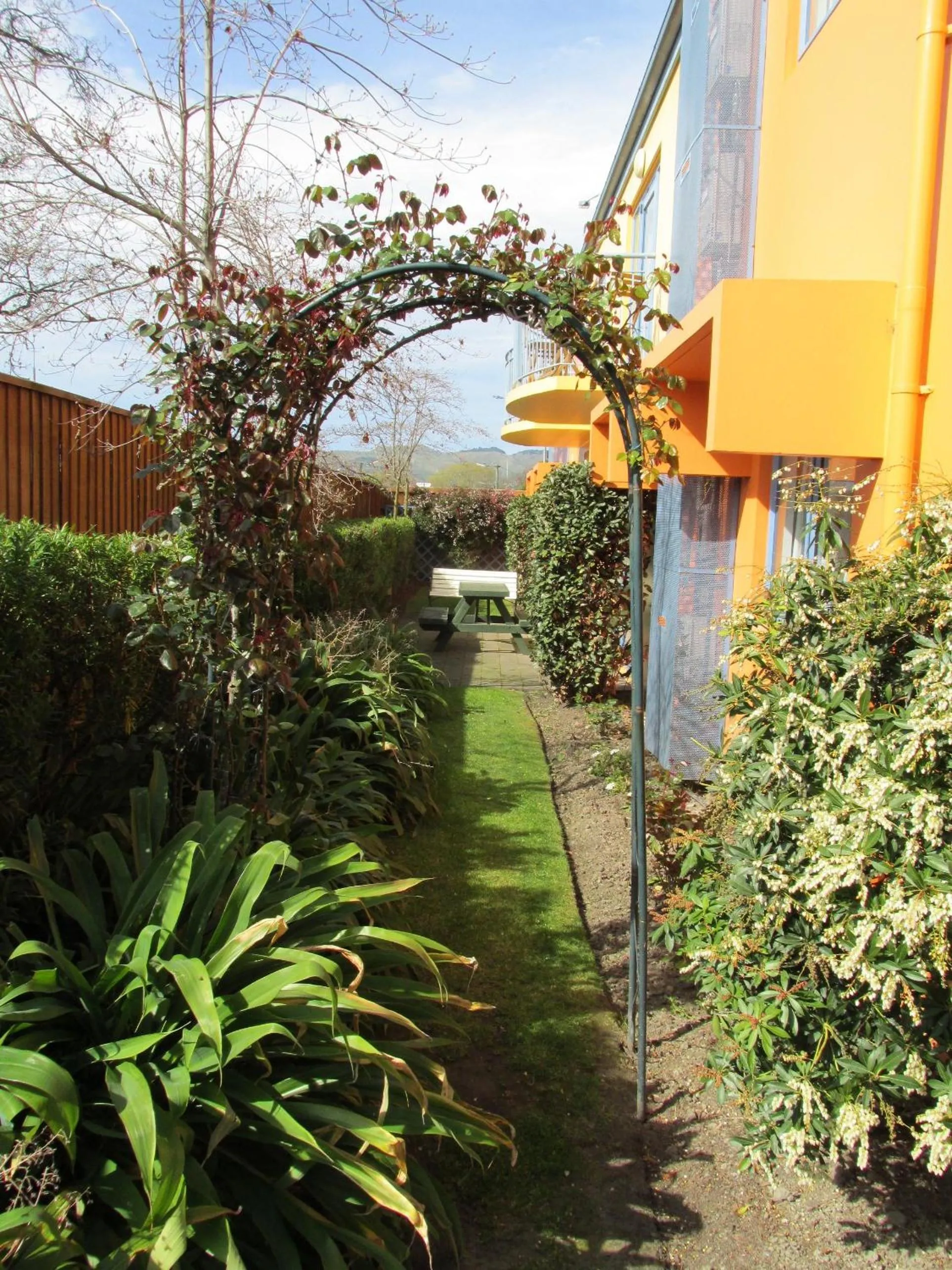 Garden in Addington Court Motel