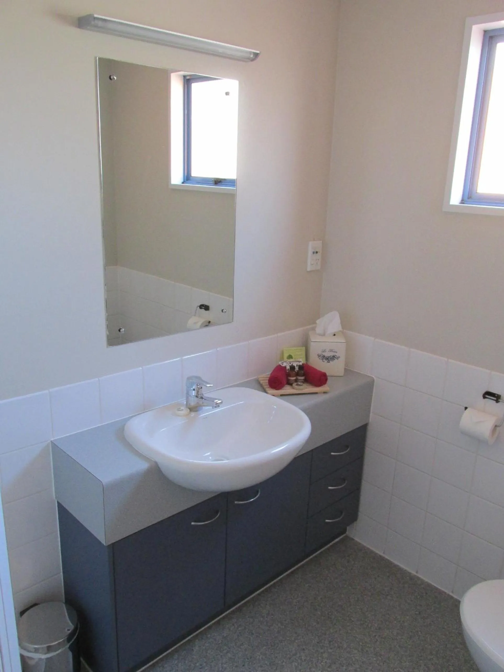 Bathroom in Addington Court Motel