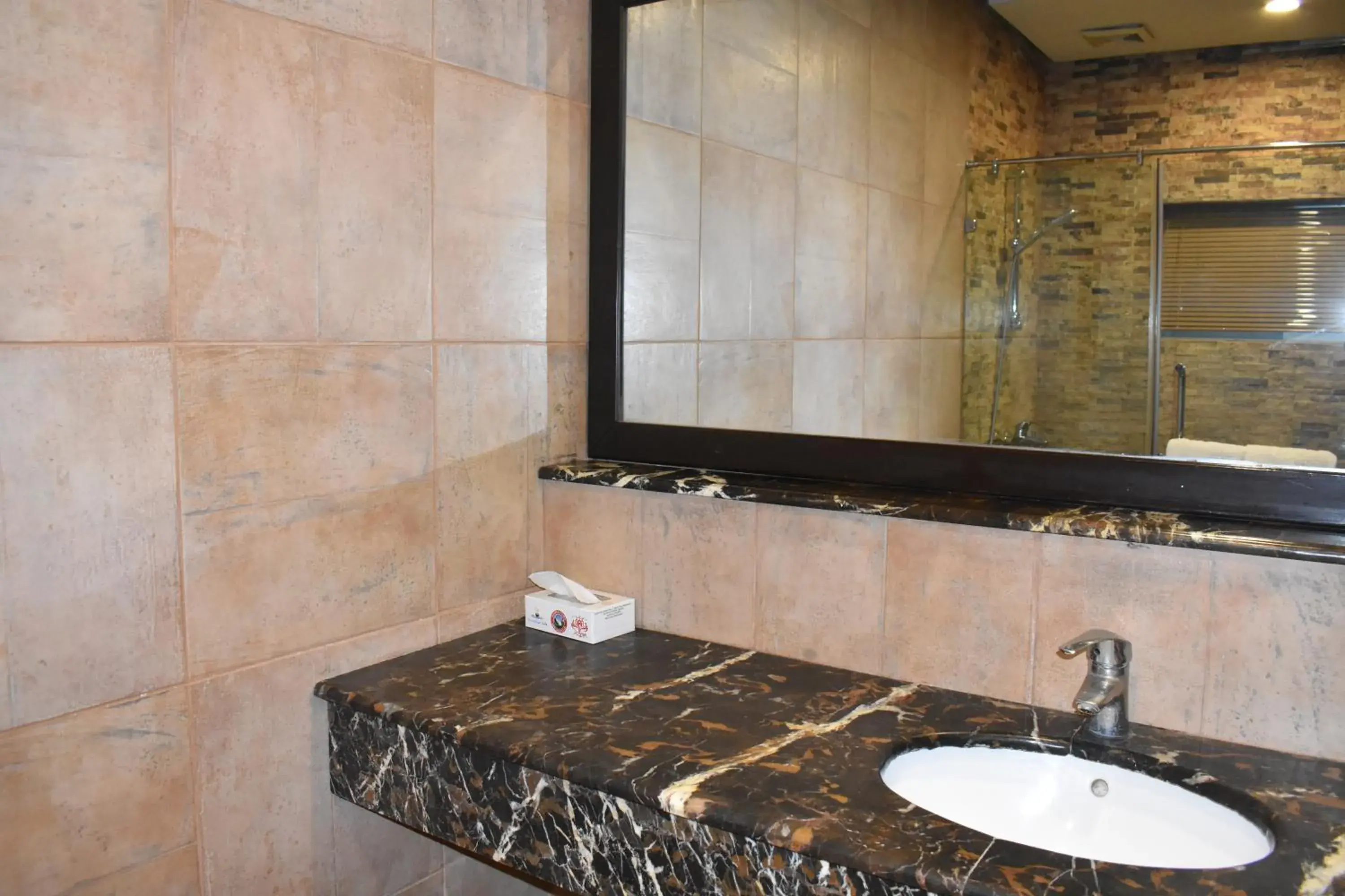 Bathroom in Safari Club 1 Bathroom in Safari Club 1