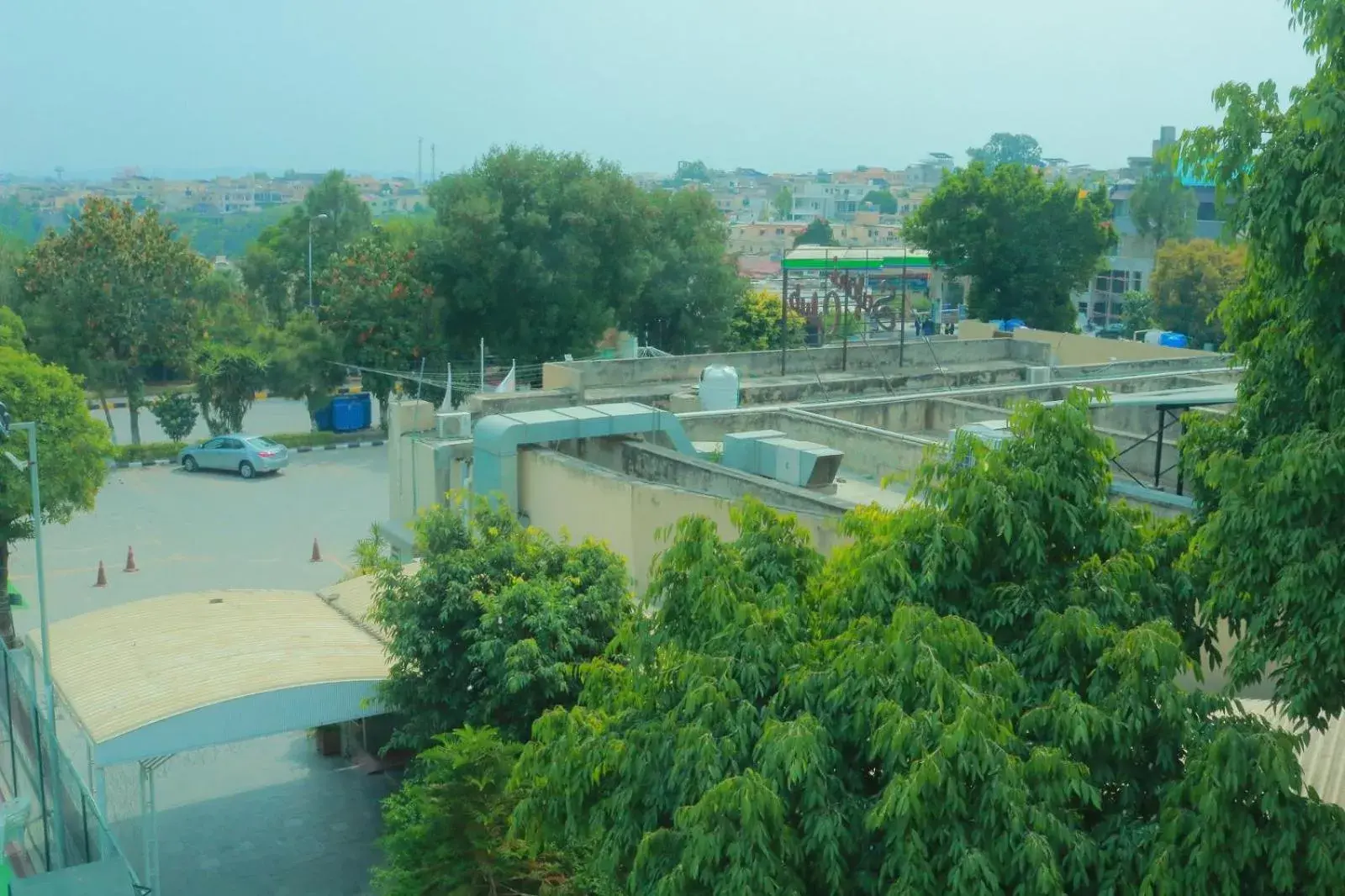 Bird's eye view in Safari Club 1 Bird's eye view in Safari Club 1