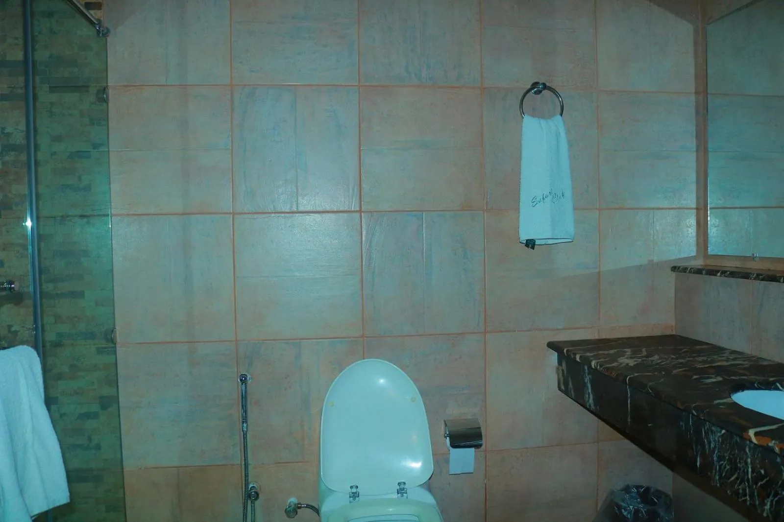 Bathroom in Safari Club 1