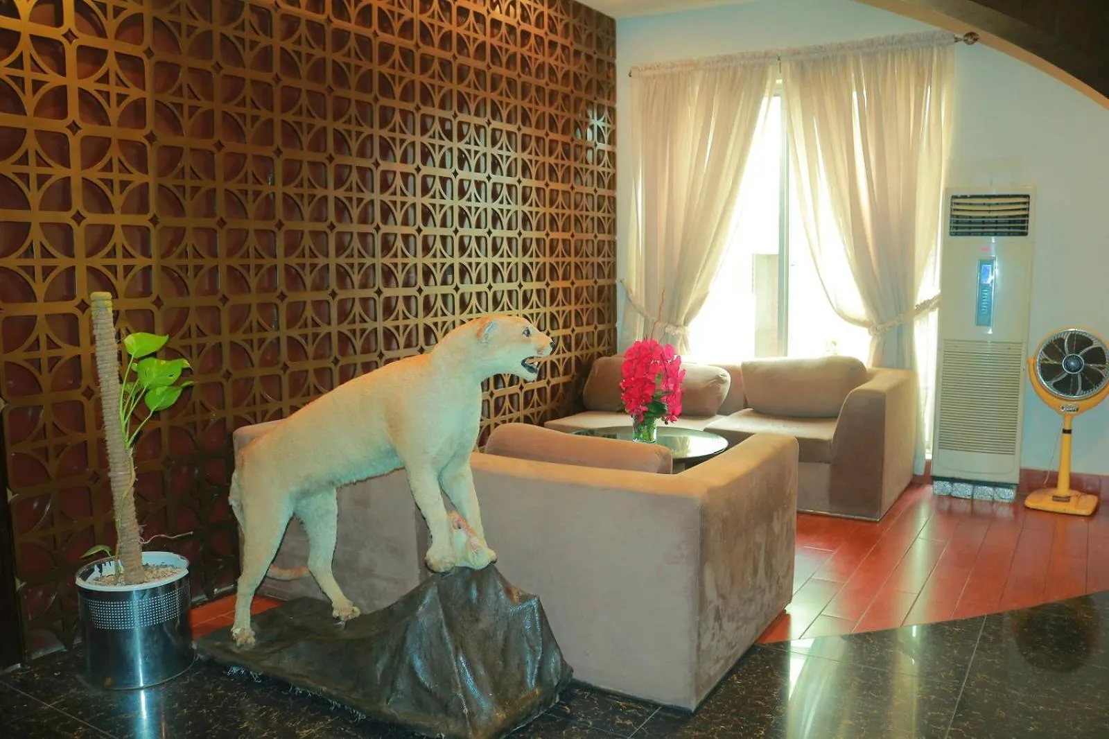 Lobby or reception in Safari Club 1