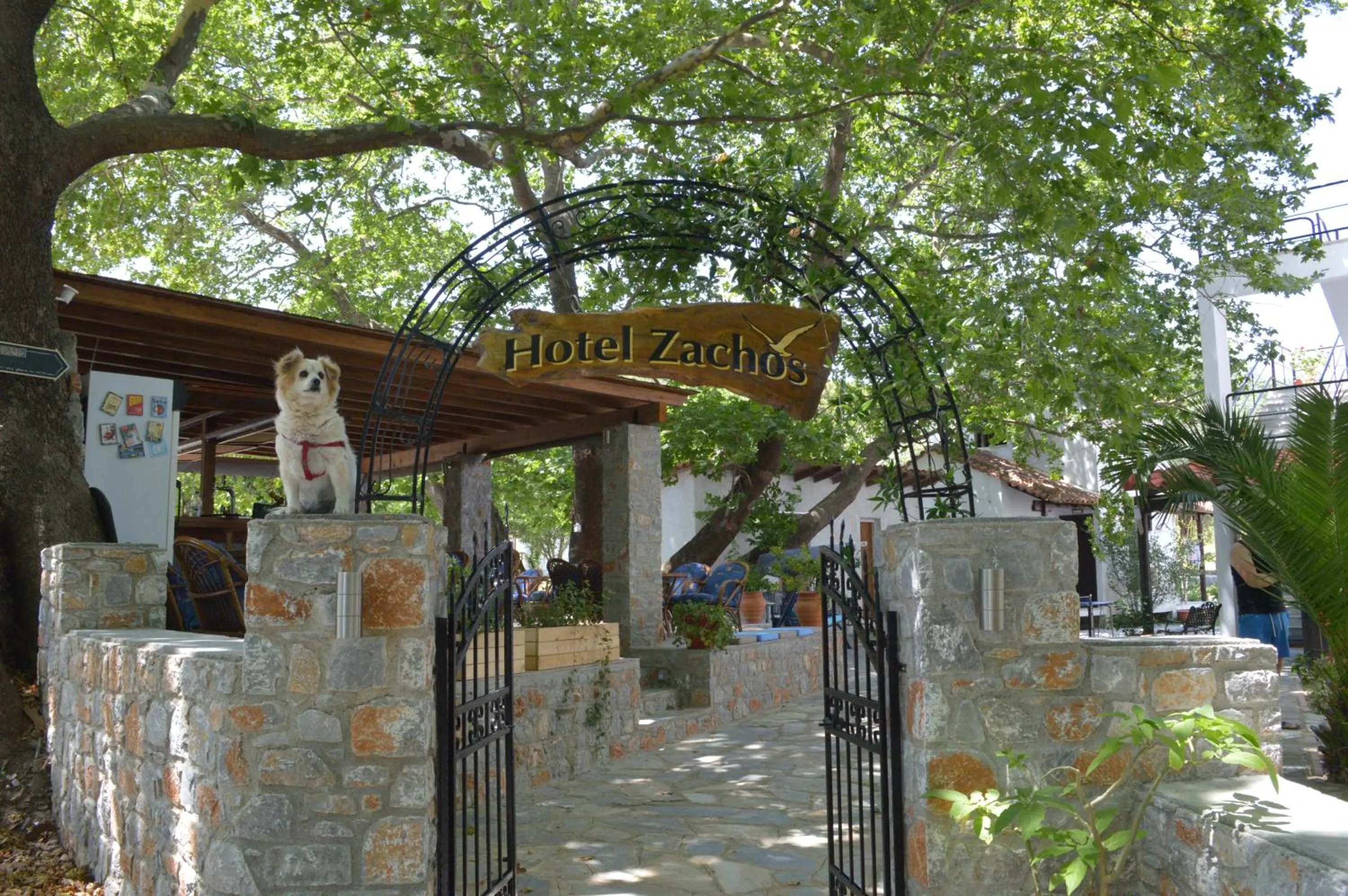 Hotel Zachos