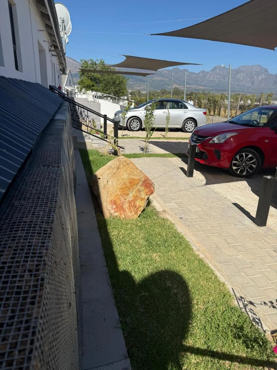 Day in Middelplaas Paarl Guesthouse