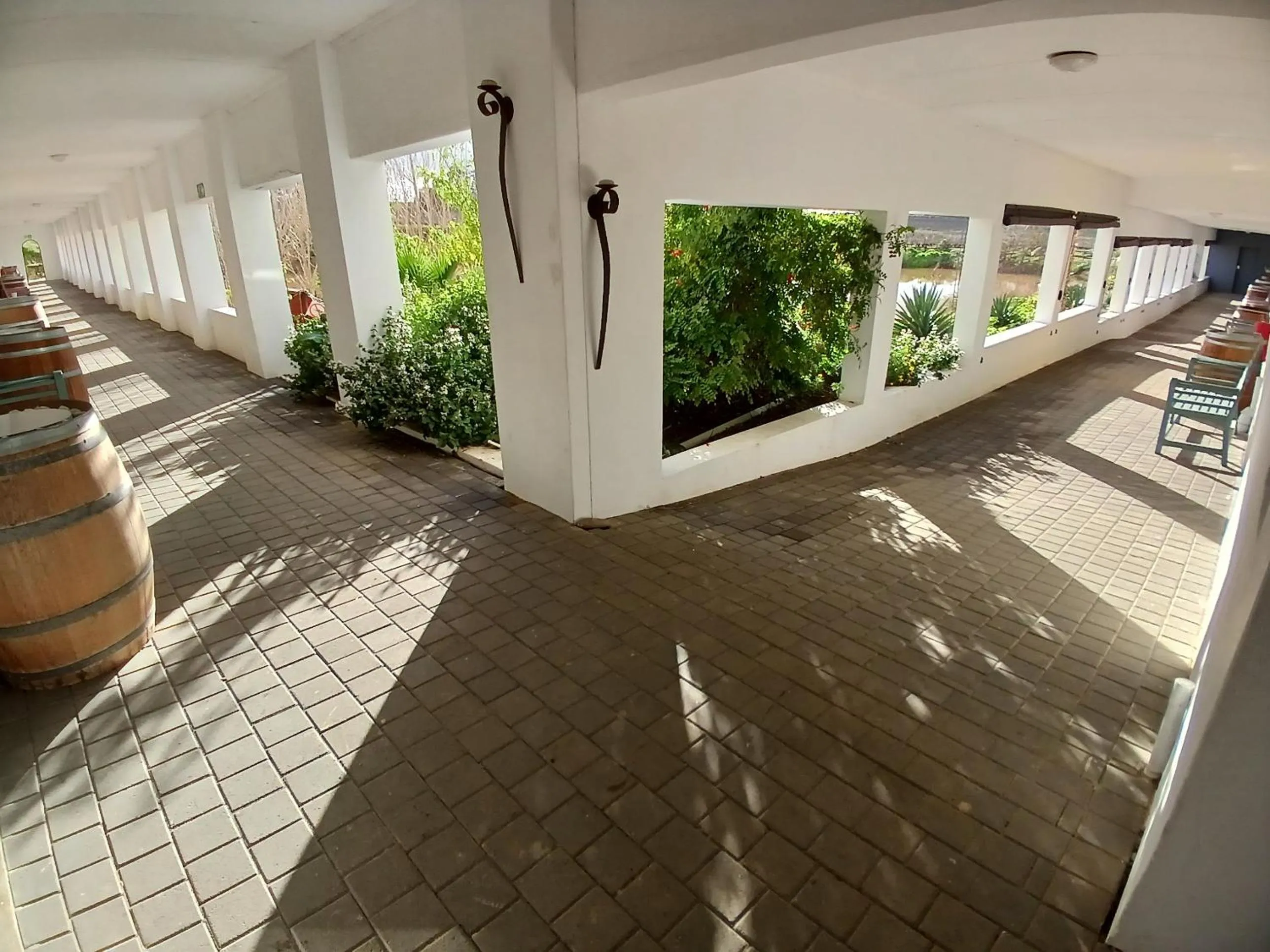 Day in Middelplaas Paarl Guesthouse