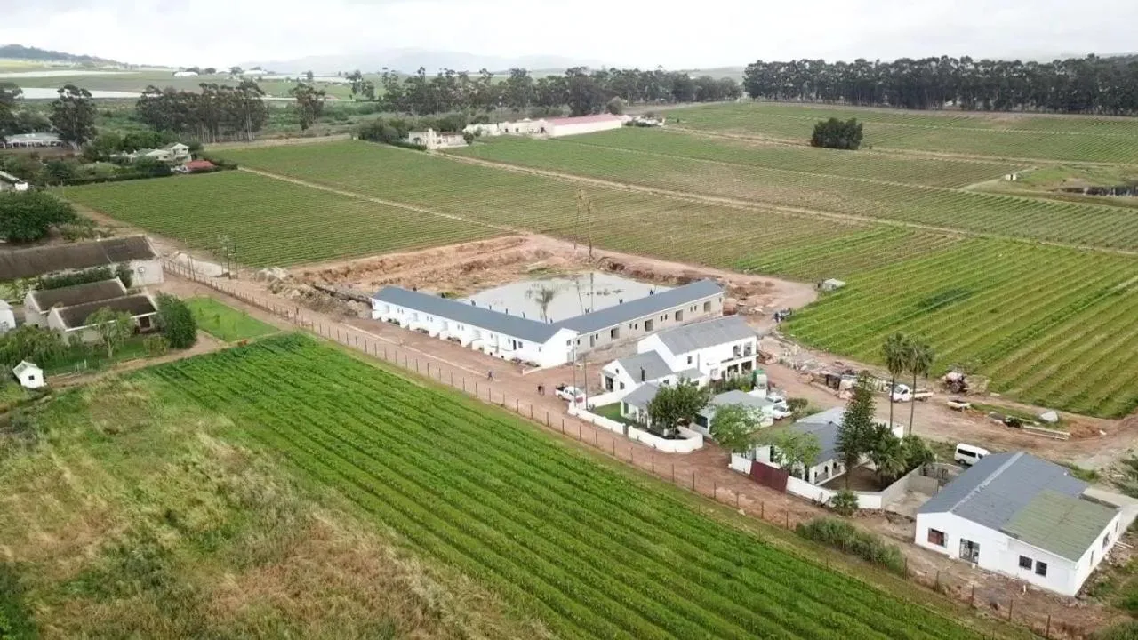 Day in Middelplaas Paarl Guesthouse