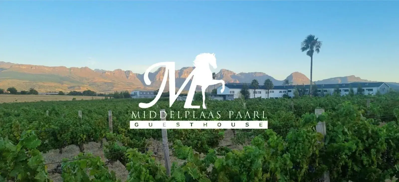 Middelplaas Paarl Guesthouse Middelplaas Paarl Guesthouse