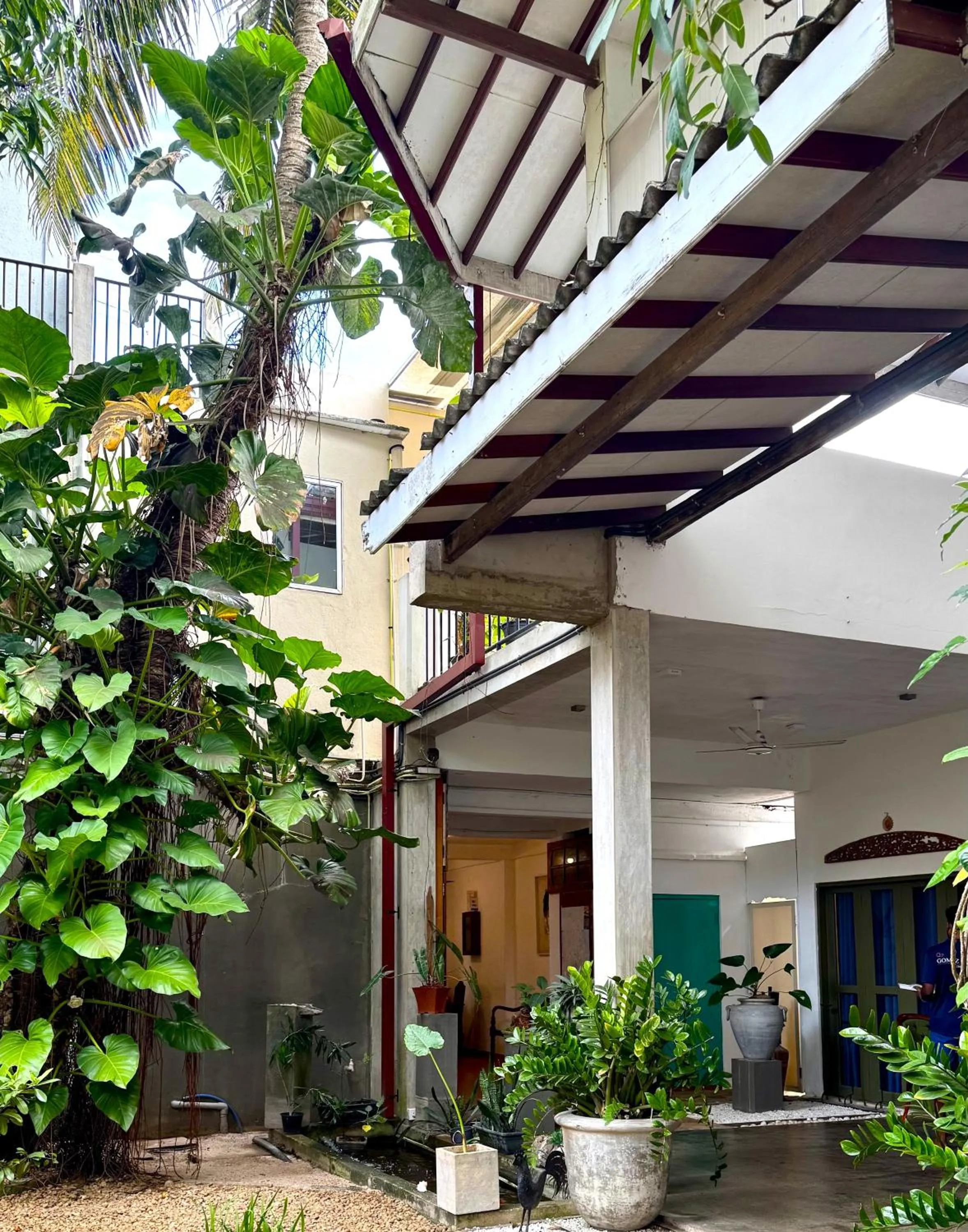 Garden in Gomez Place