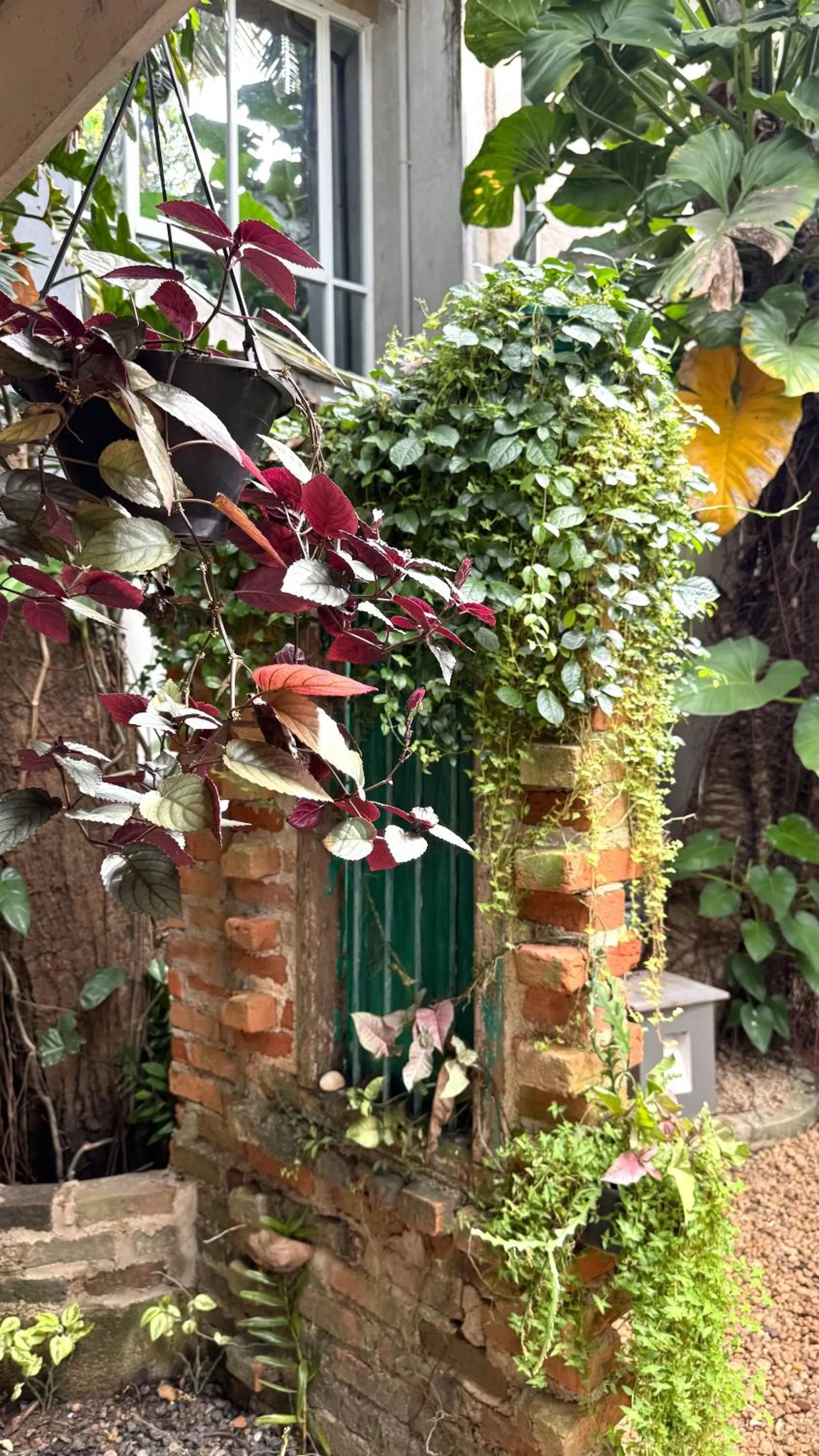 Garden in Gomez Place