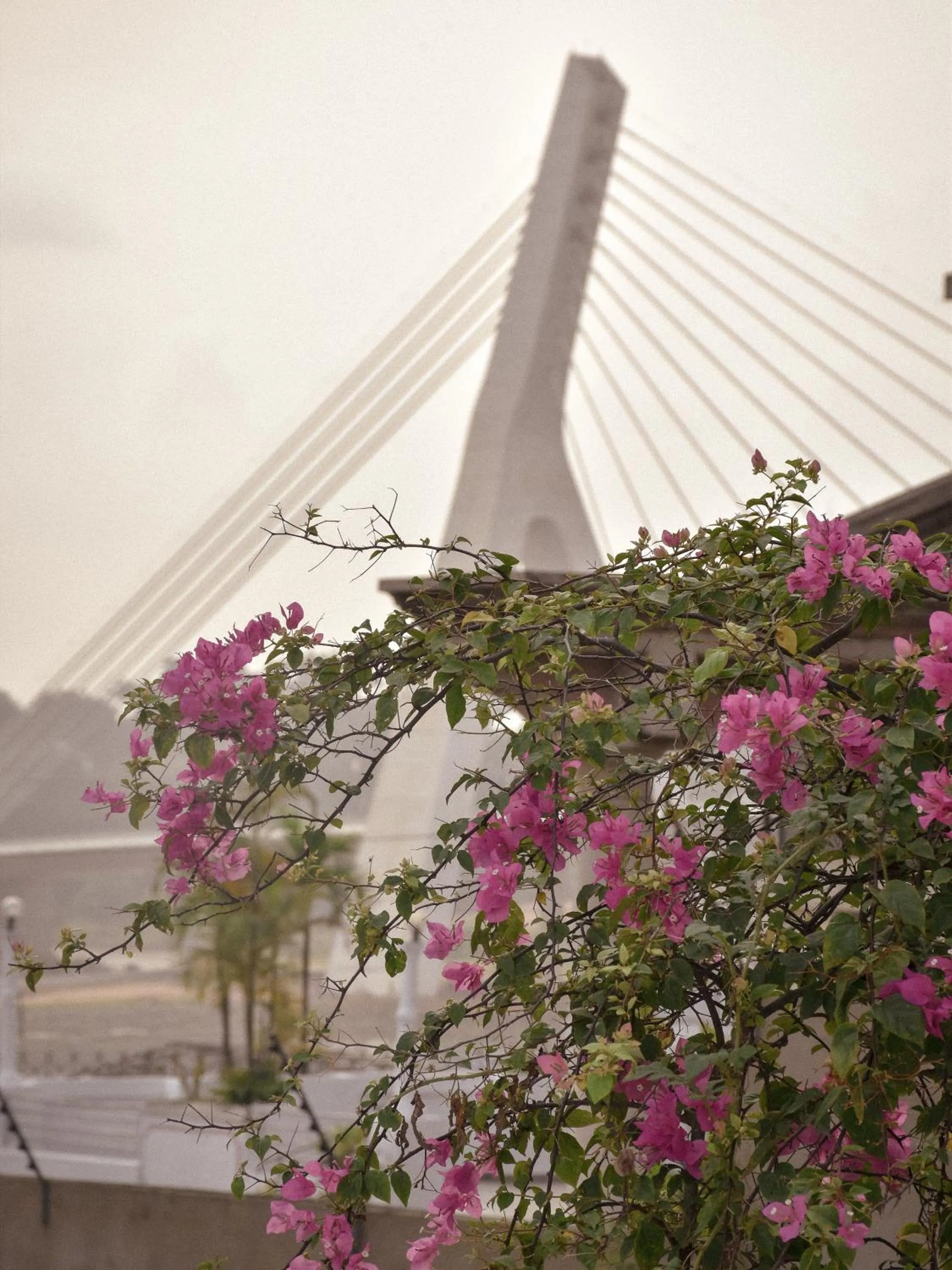 Day in Résidences Les Hauts de l'Indenié