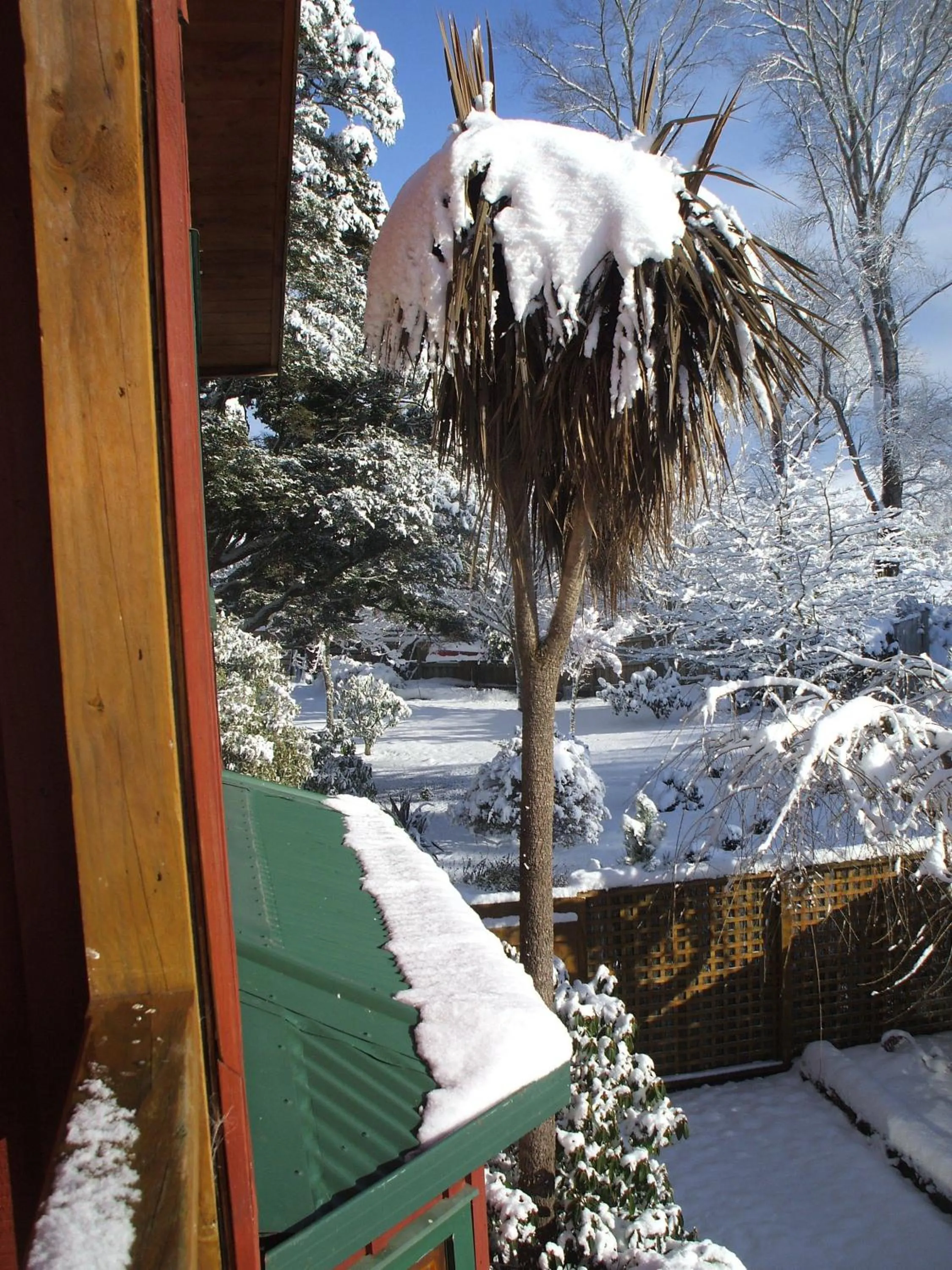 Winter in The River Lodge