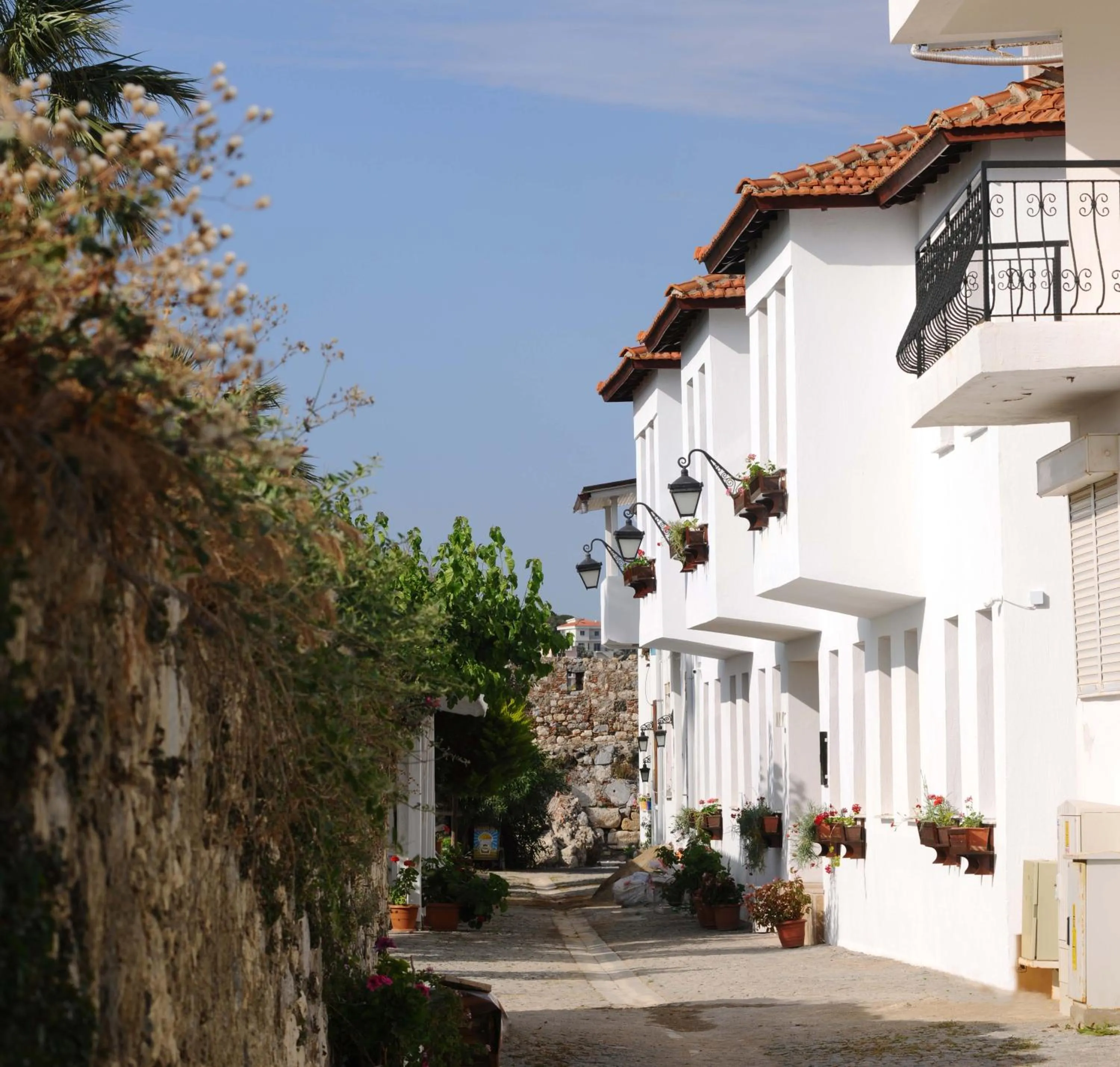 Nearby landmark in Teos Lodge Pansiyon