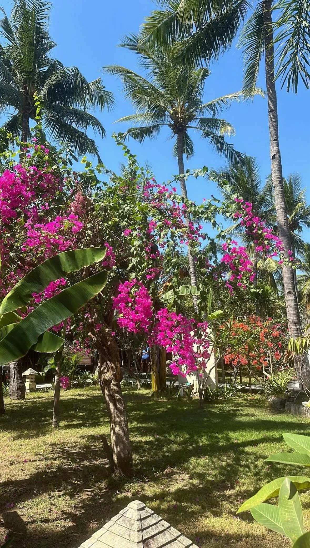 Day in Trawangan Oasis