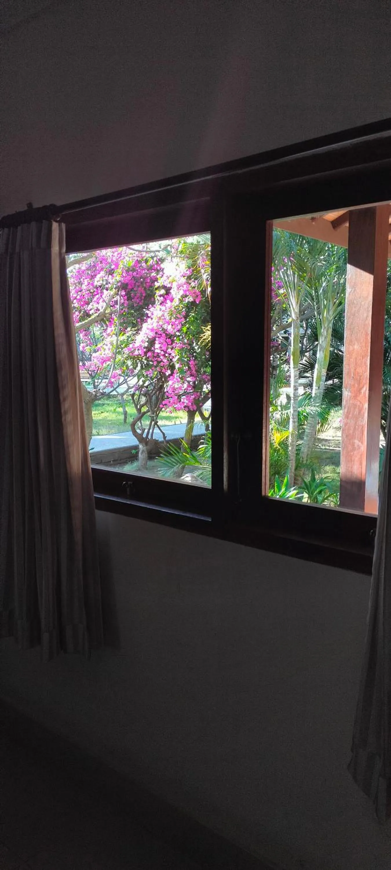 Garden view in Trawangan Oasis