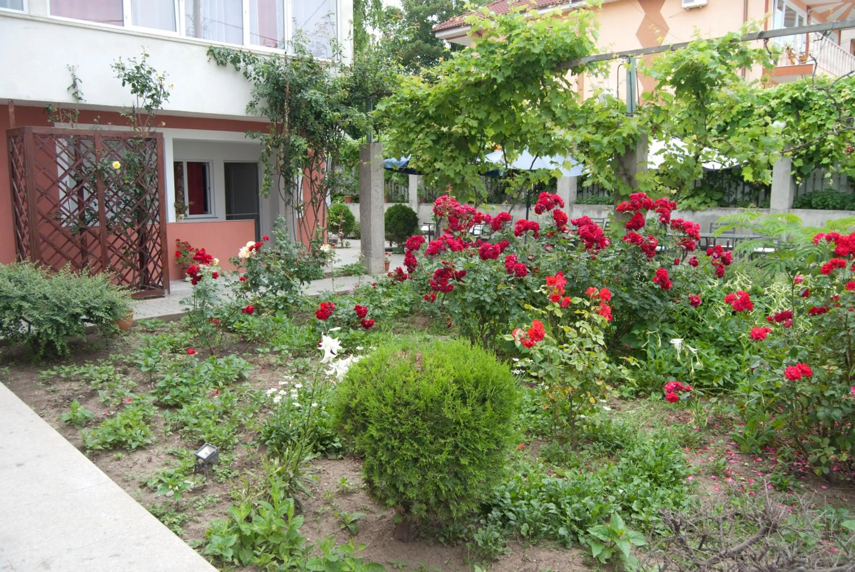 Spring in Hotel Laguna