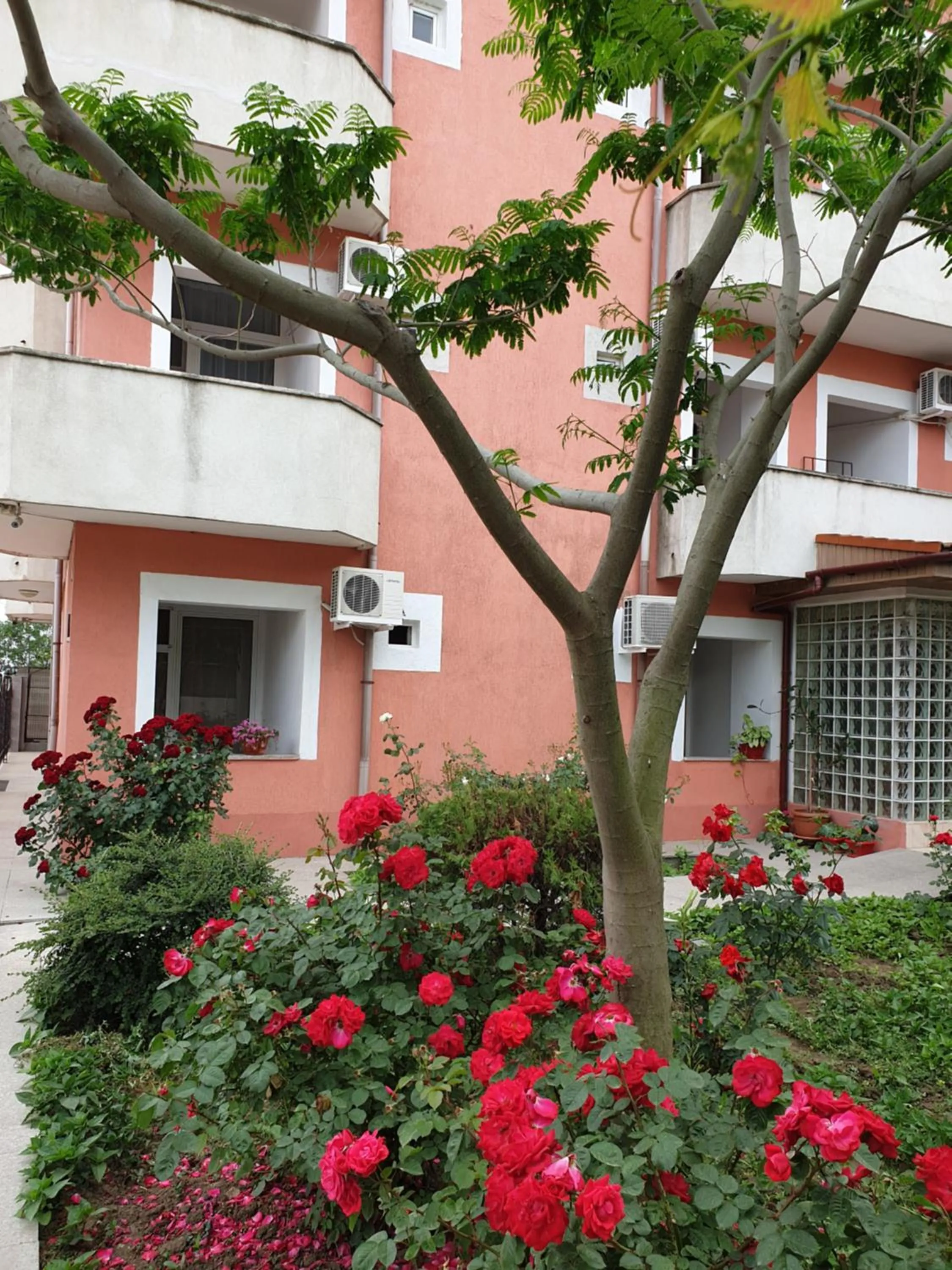 Garden in Hotel Laguna