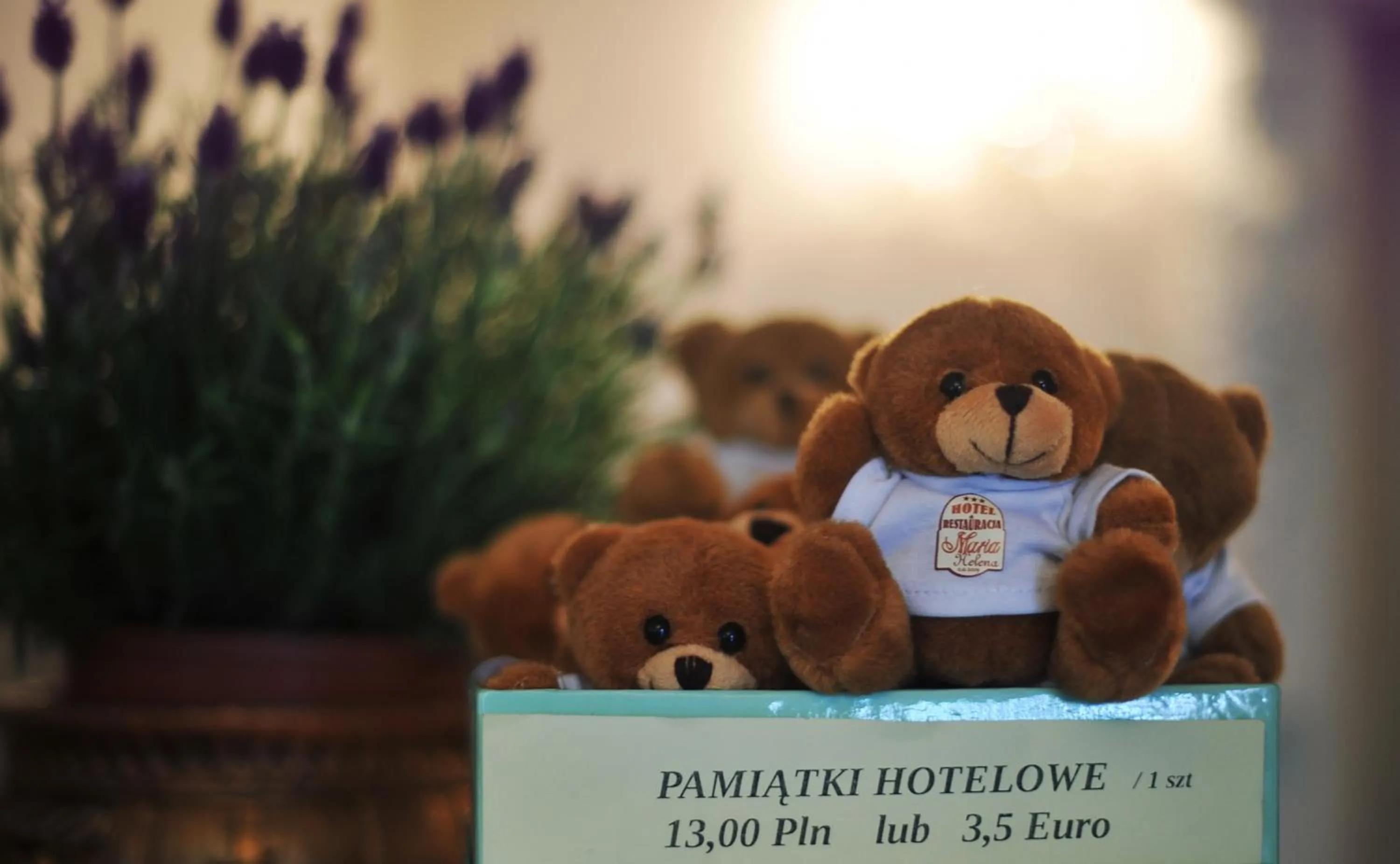 Other in Hotel Maria Helena