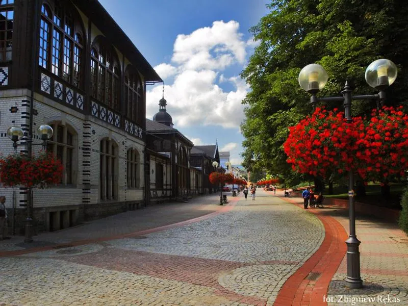 Area and facilities in Hotel Maria Helena