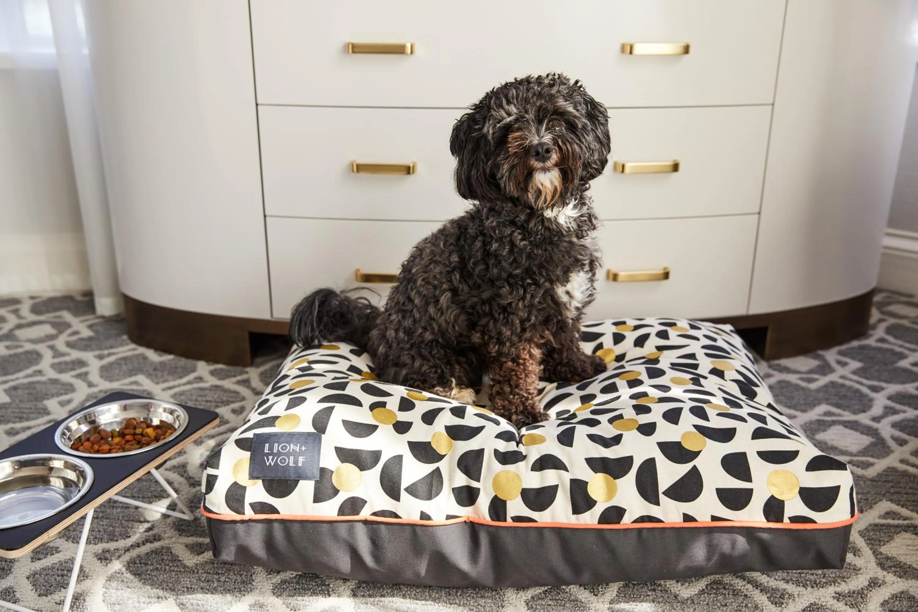 Pets in The Whitney Hotel Boston