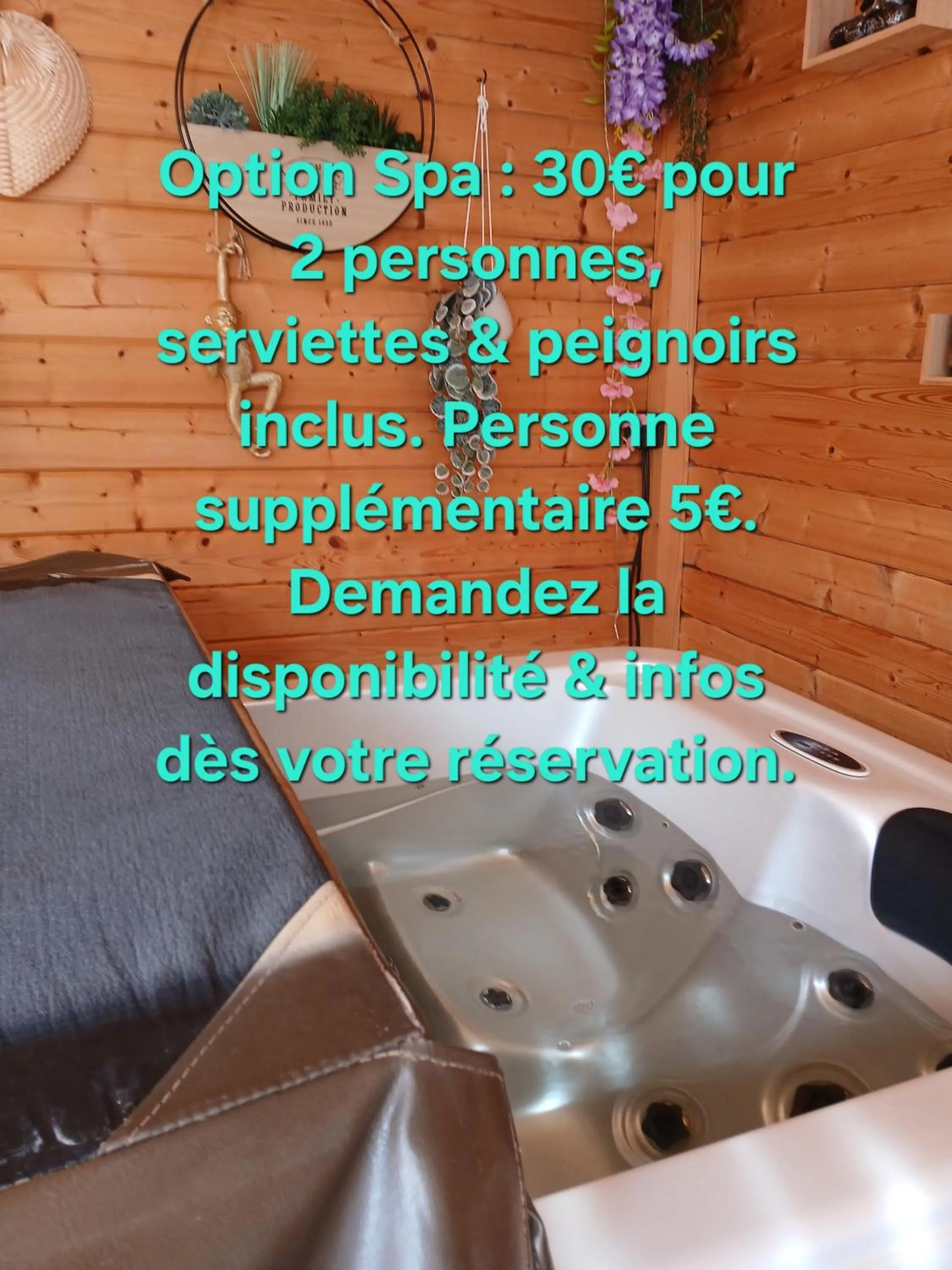 Spa and wellness centre/facilities in Le Cosy Cabarieu détente & spa