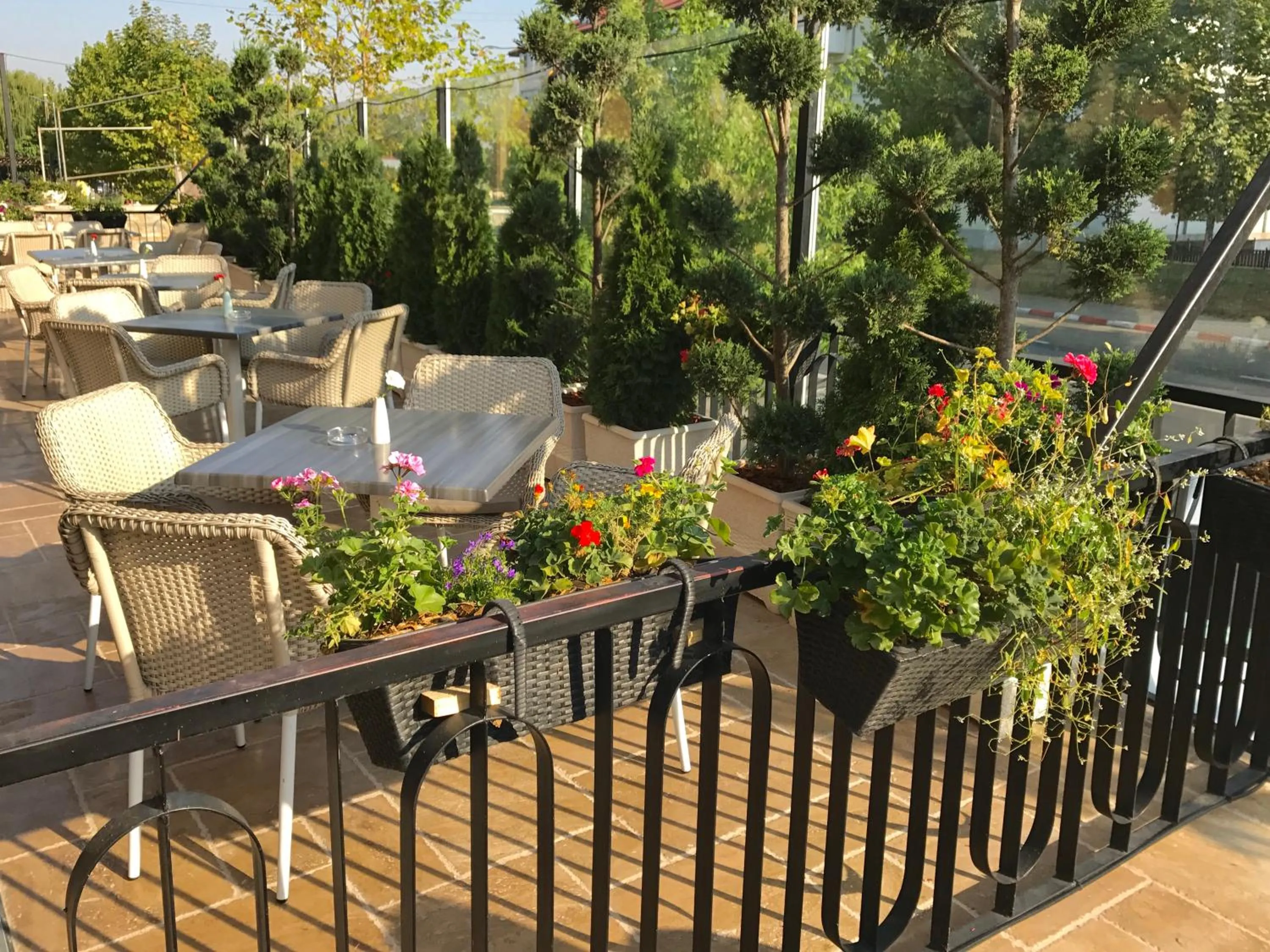 Restaurant/places to eat in Hotel Edma