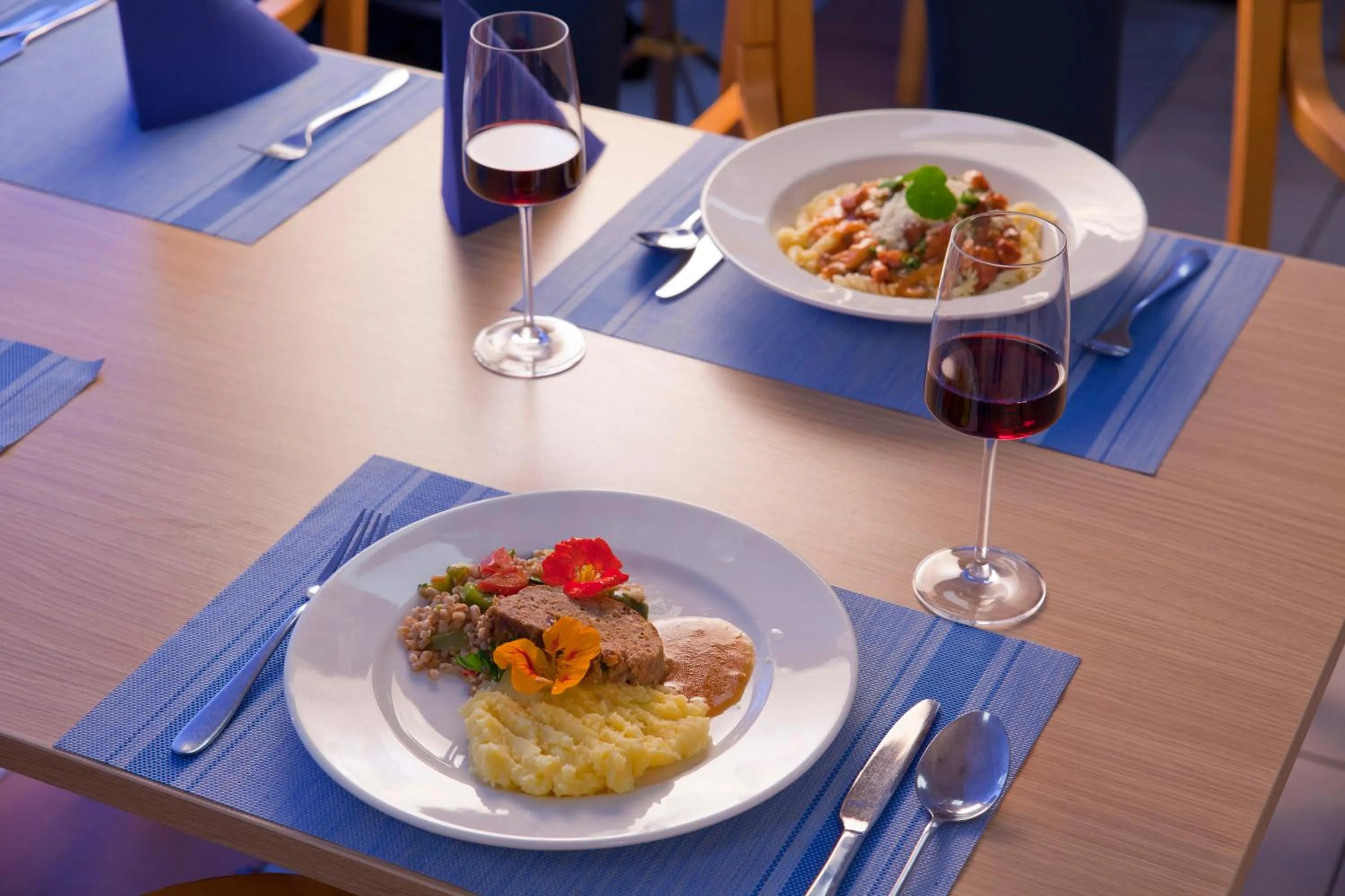 Food and drinks in Terme Topolsica - Hotel Vesna