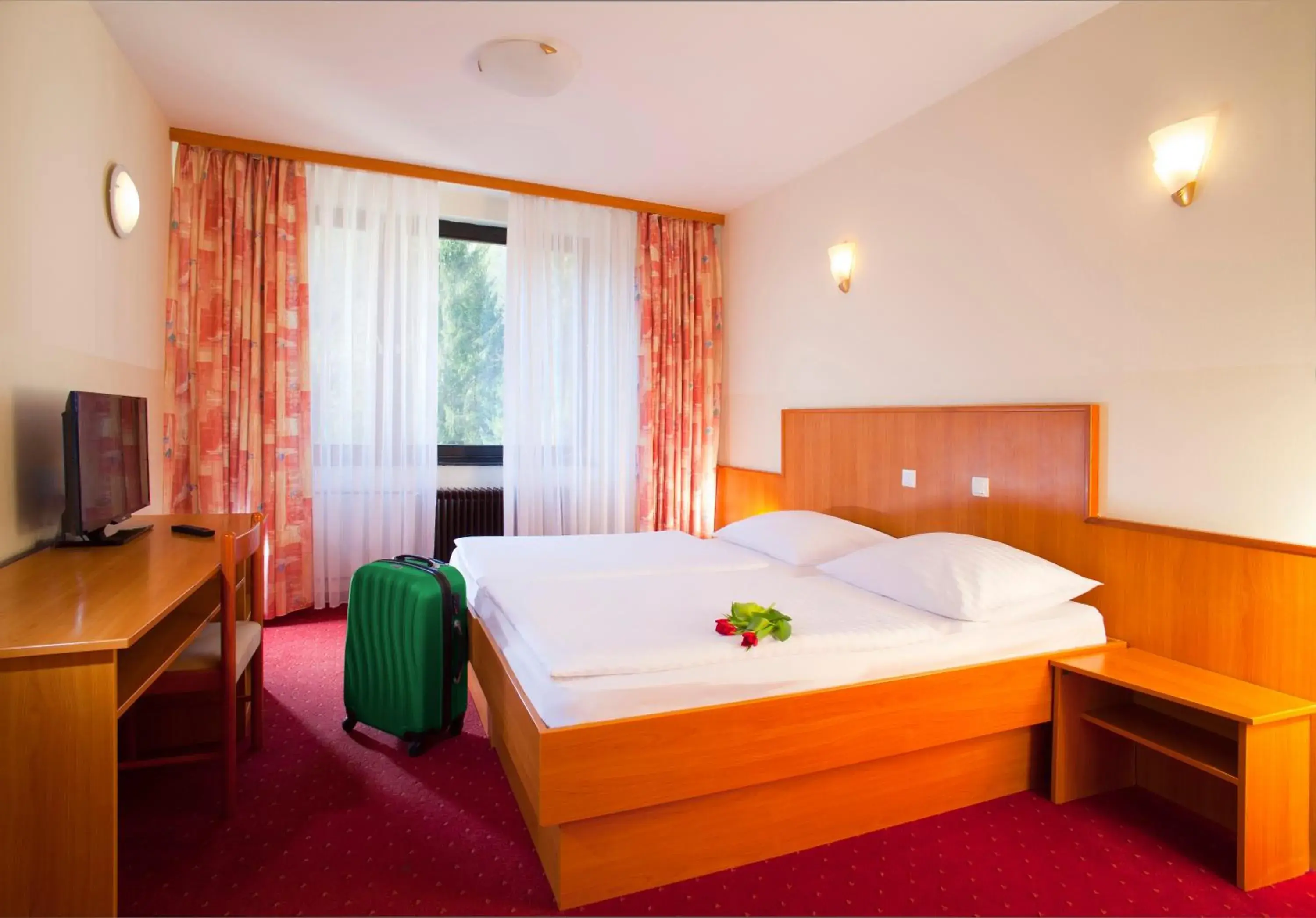 Standard Double Room in Terme Topolsica - Hotel Vesna Standard Double Room in Terme Topolsica - Hotel Vesna