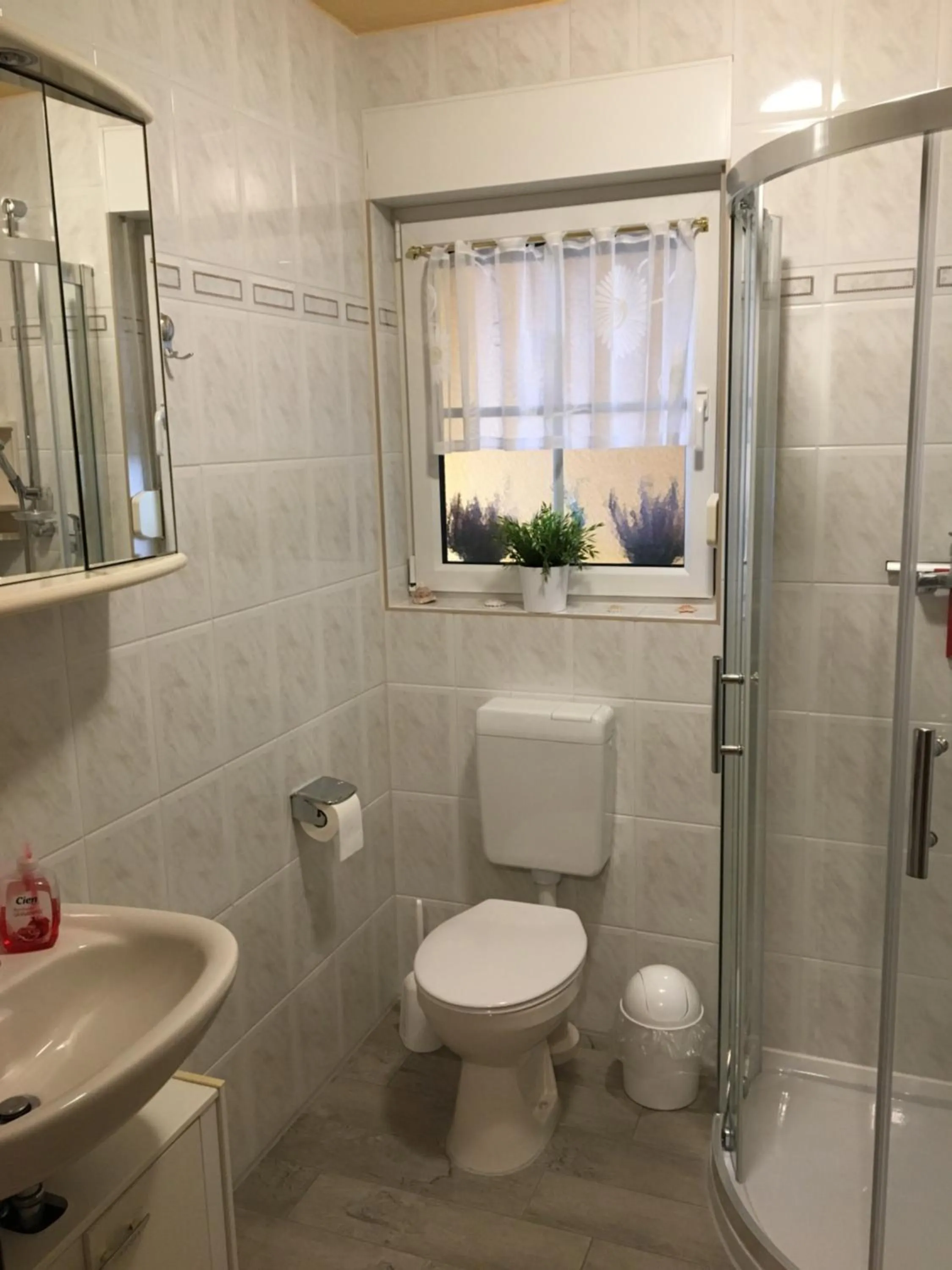 Shower in Möllis Apartment am Jasmund-Nationalpark