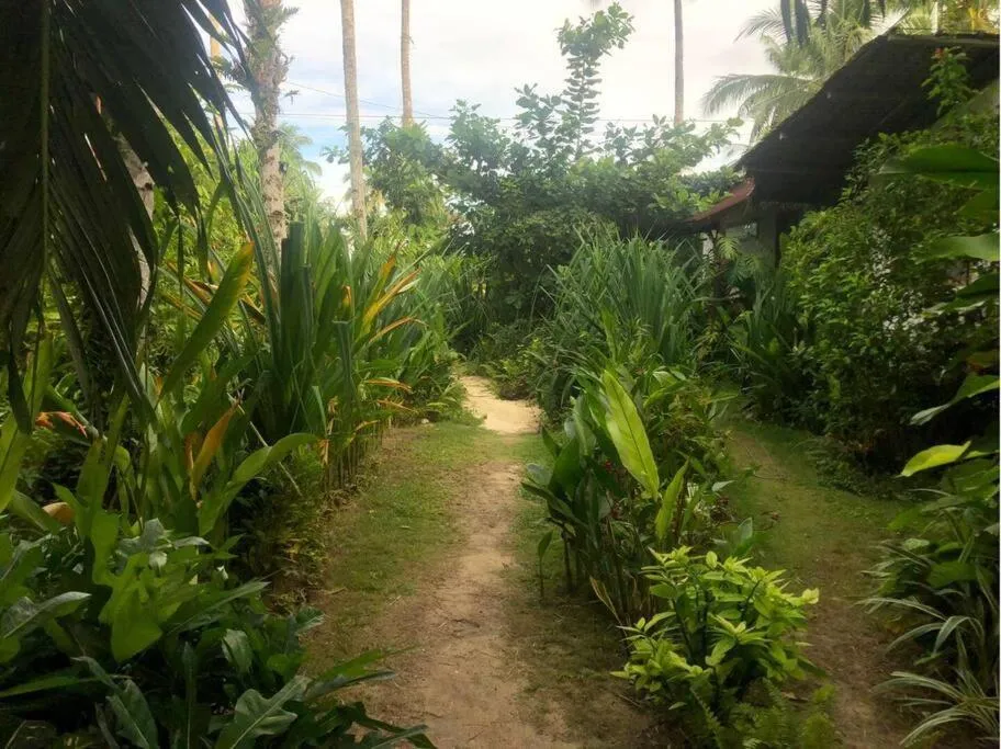 Secret Spot Siargao